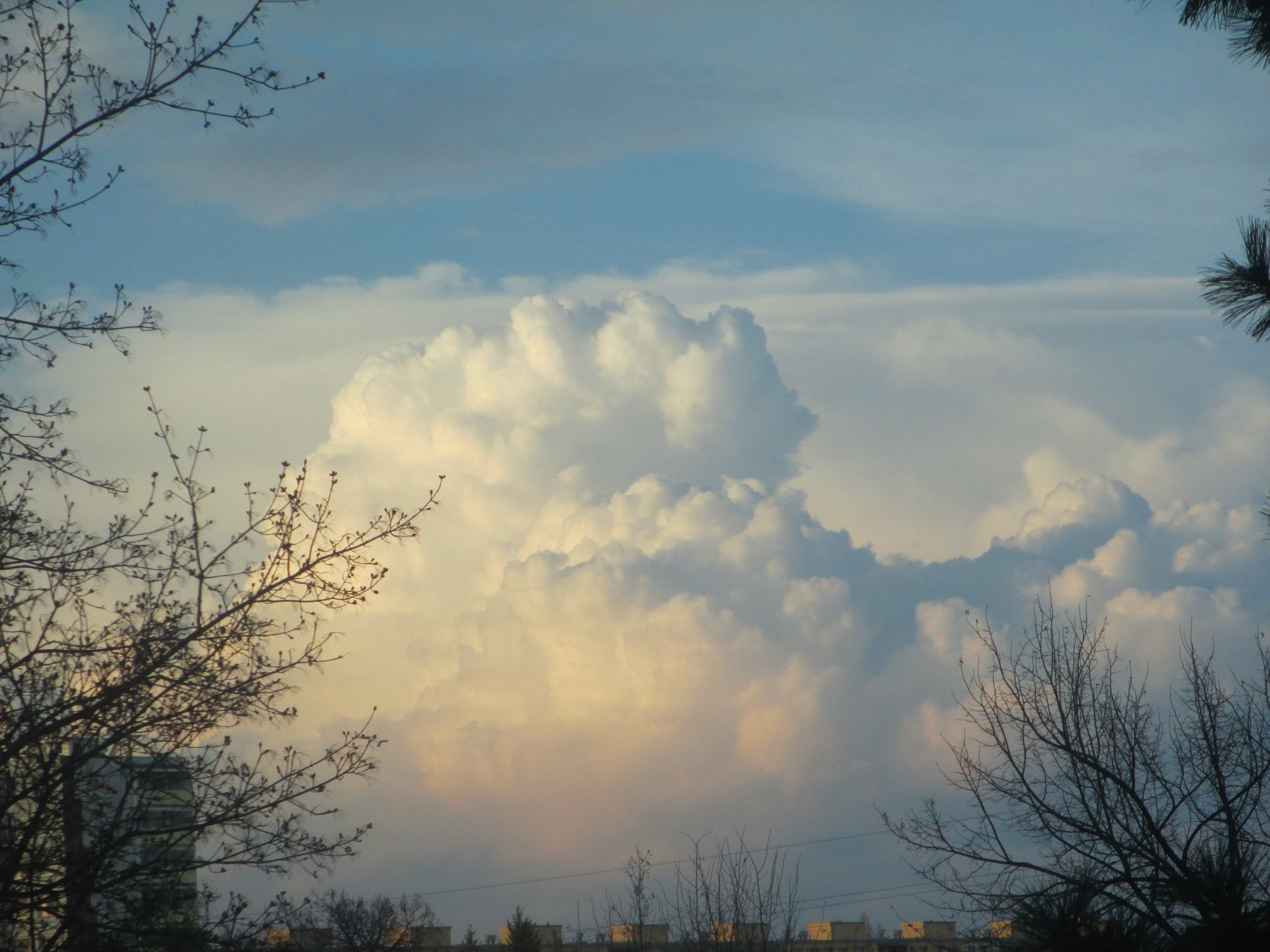 První konvekce 2014