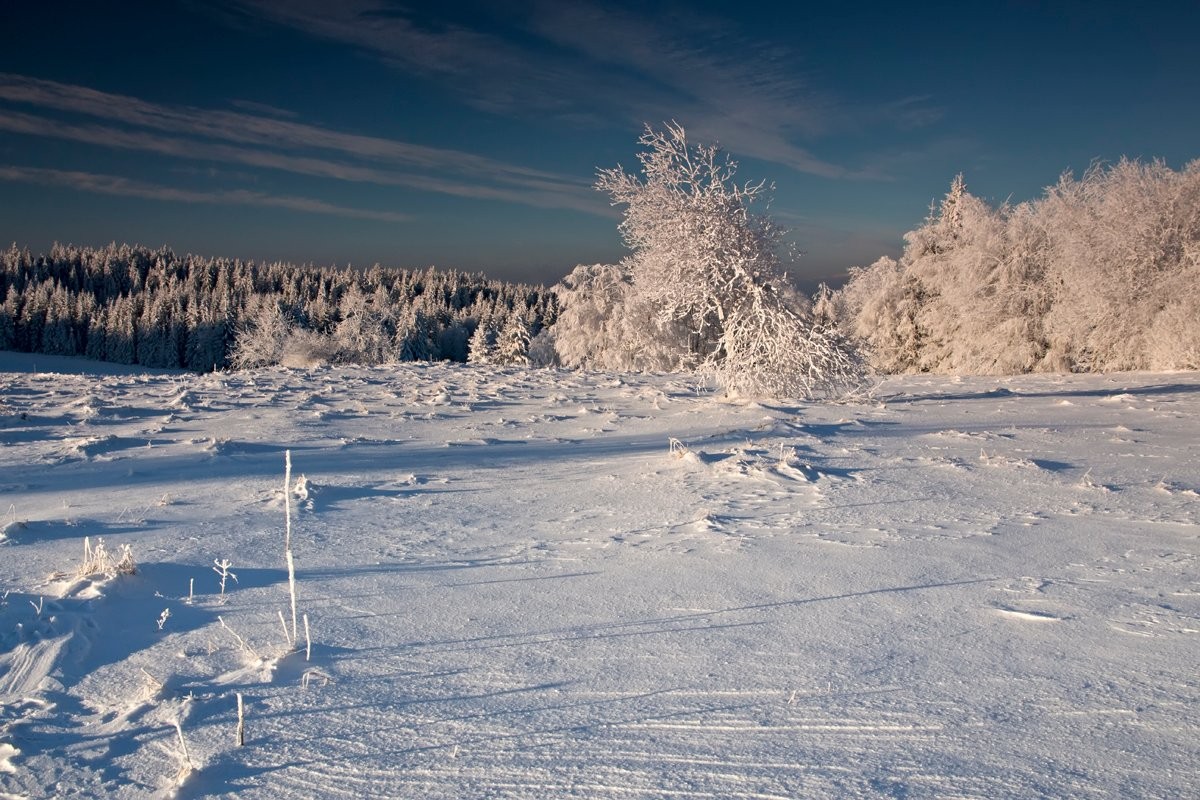 Horská Kvilda - Zhůří