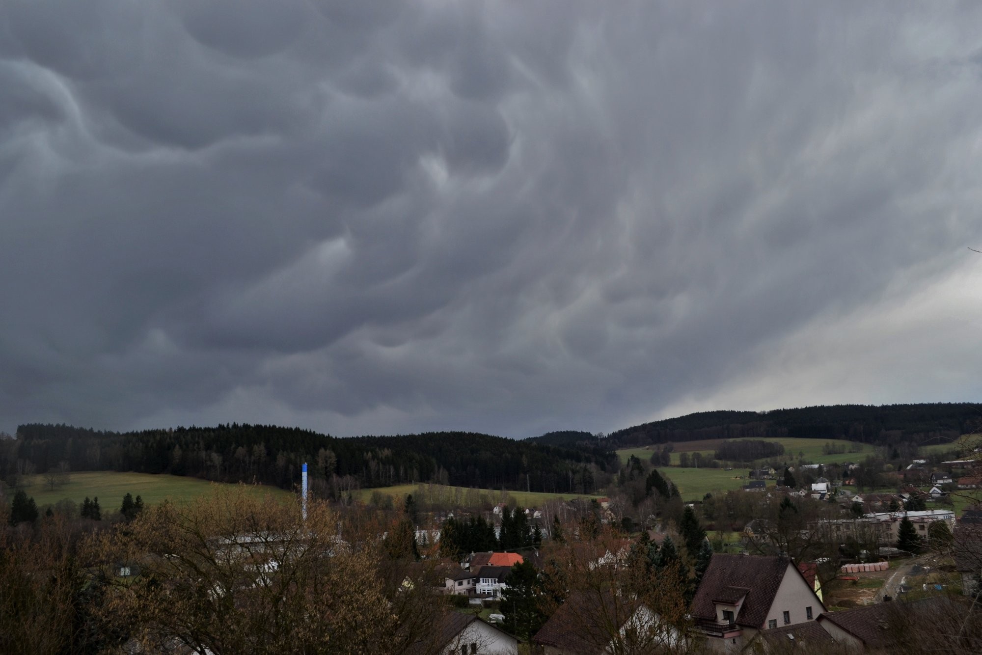 Mammata nad Bojanovem