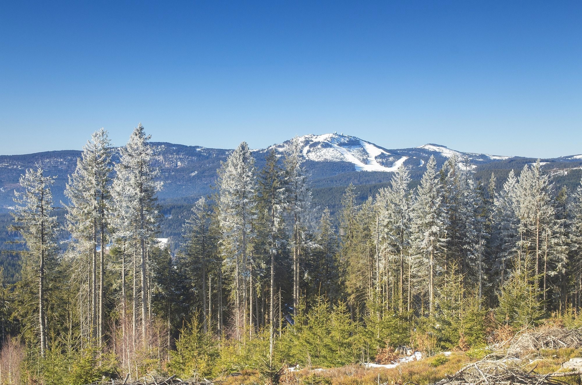 Velký Javor z Pancíře