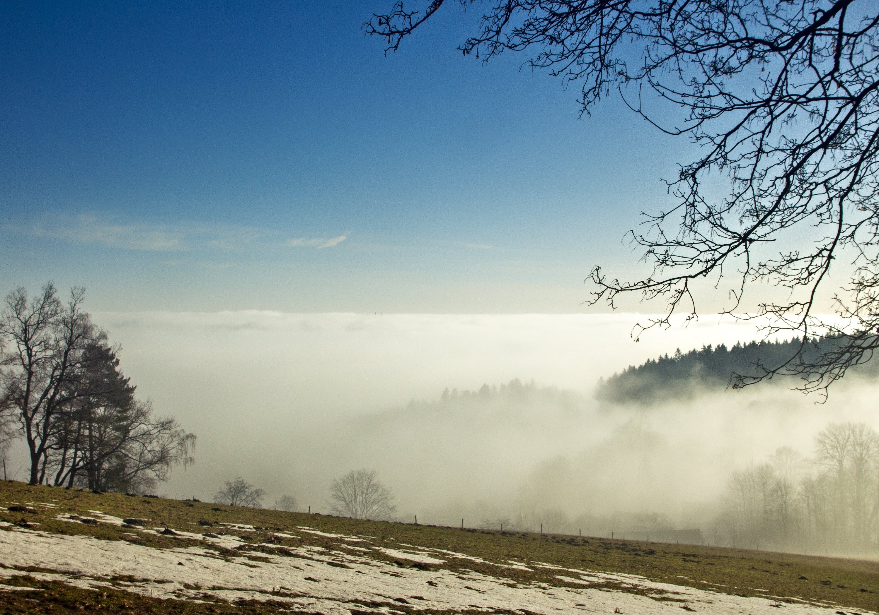 Zámyšl - nízká oblačnost
