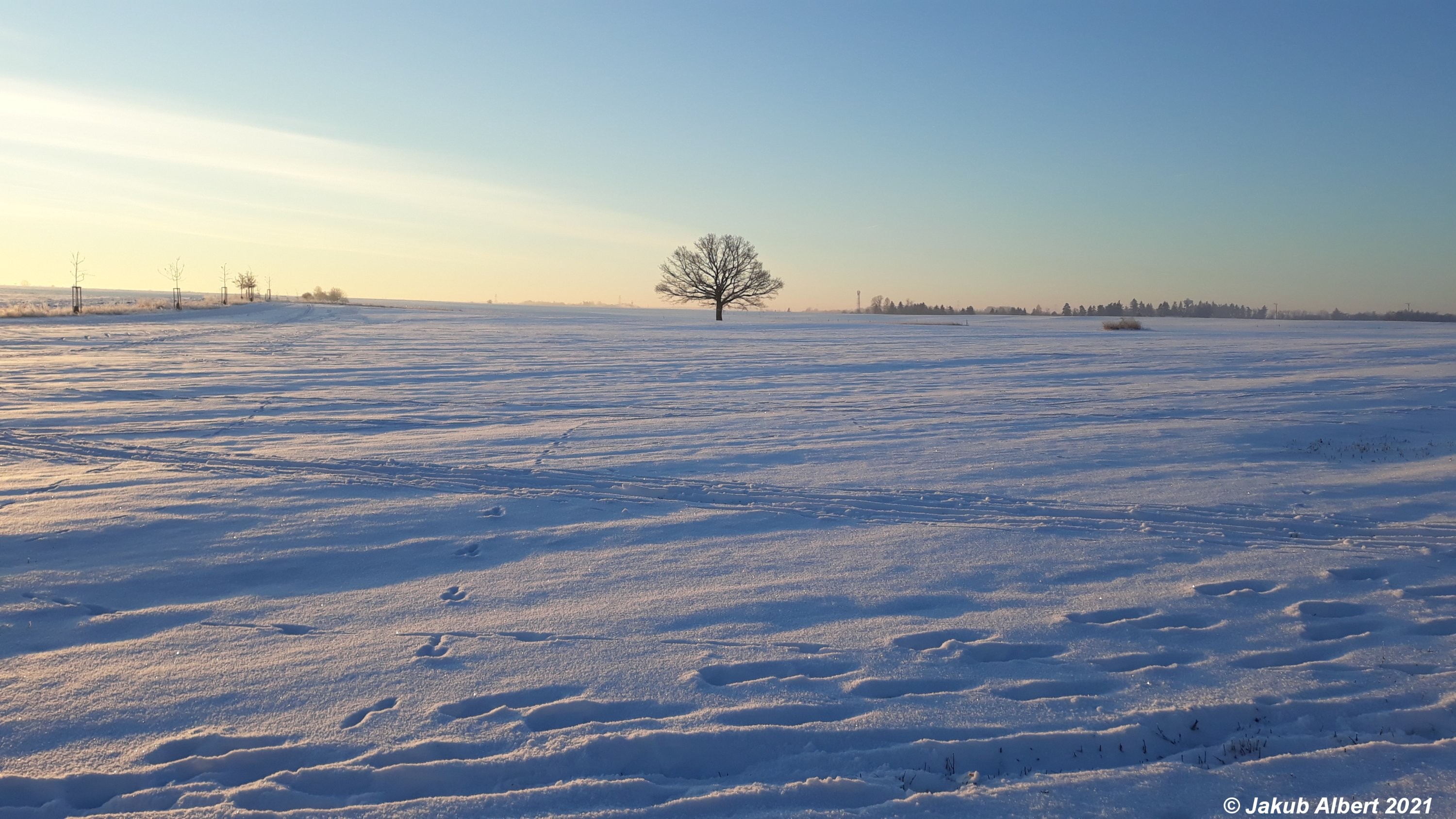 Sníh na okraji Prahy