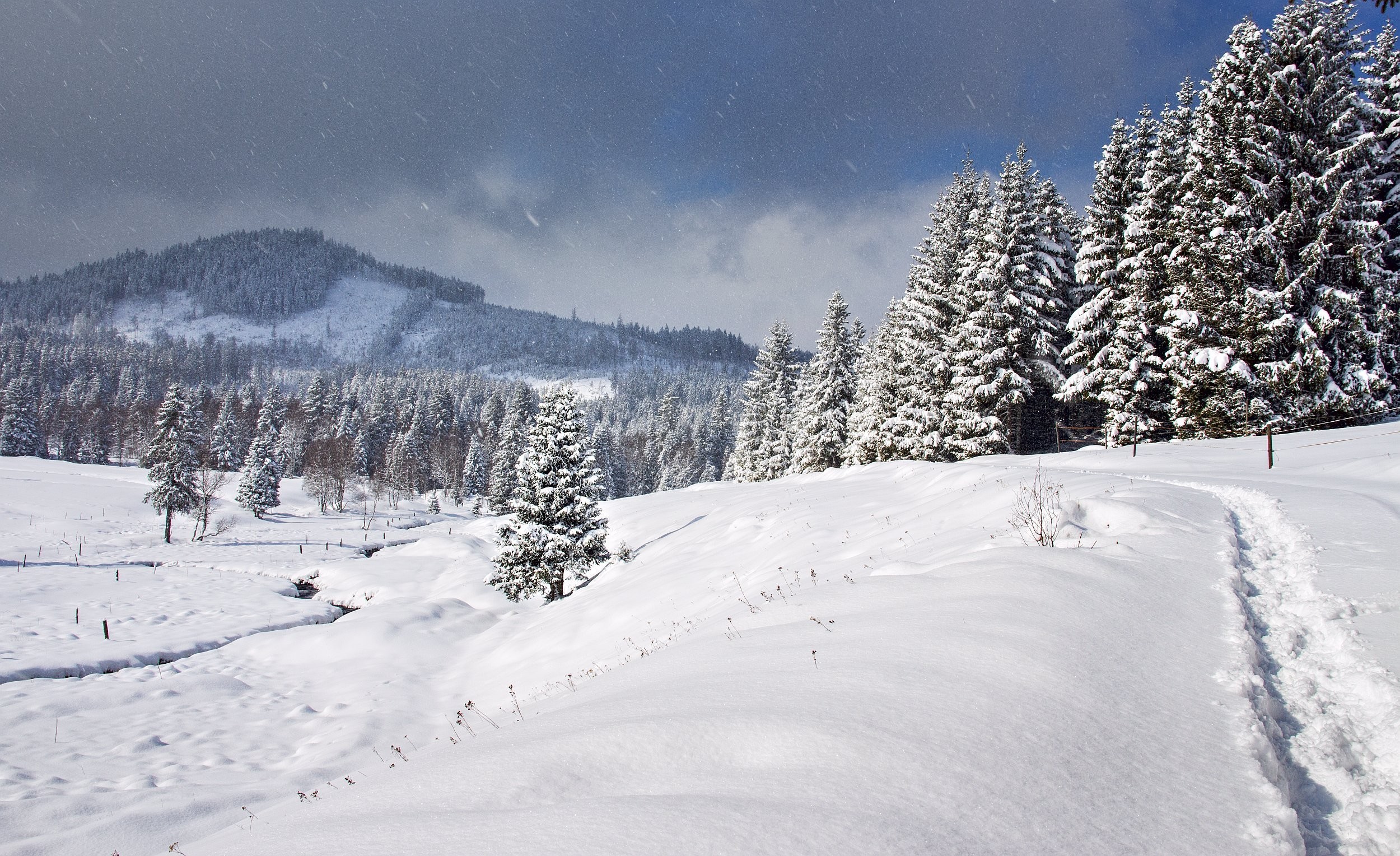 Březnový sníh na Šumavě