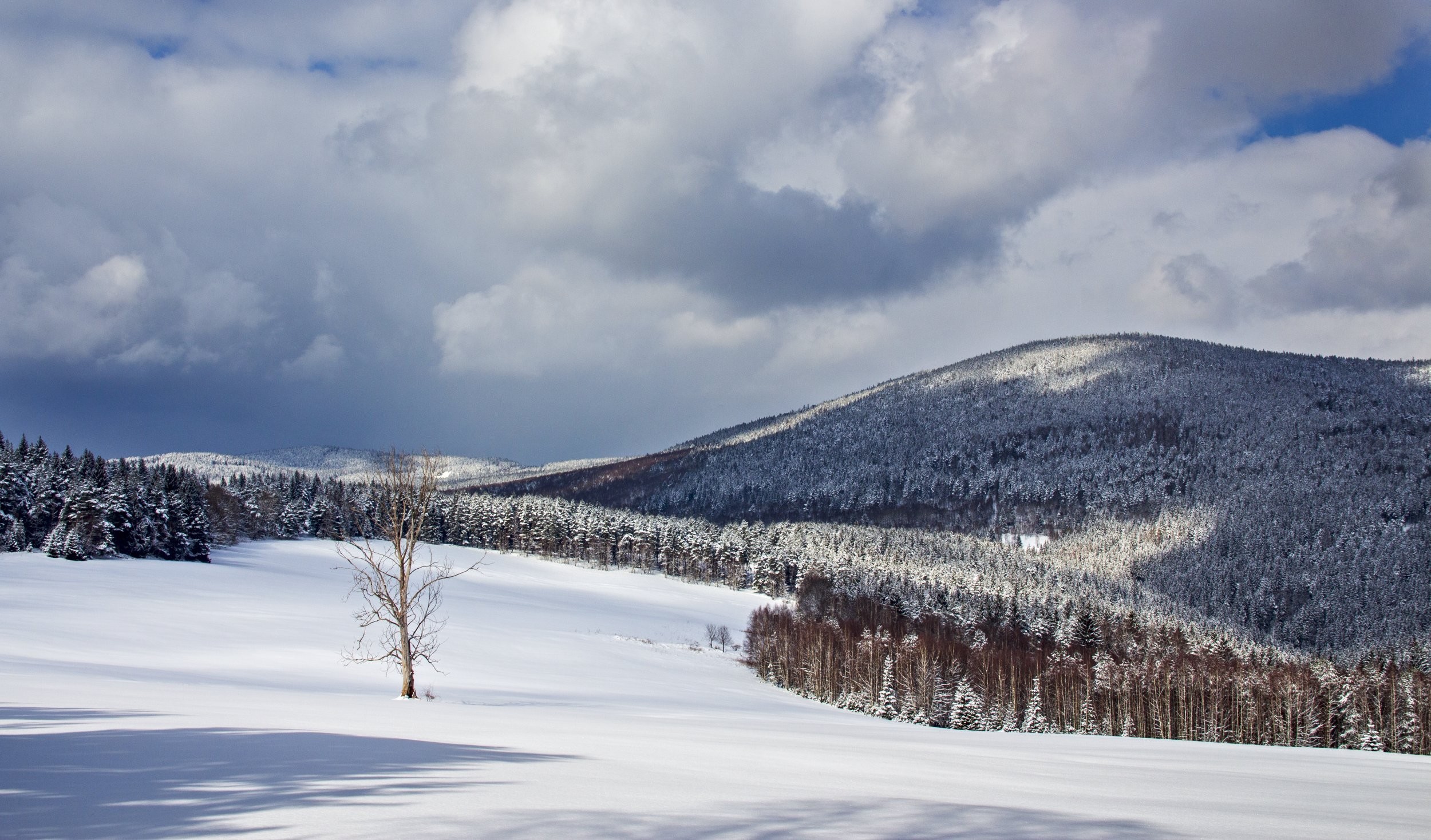 Zasněžená Šumava