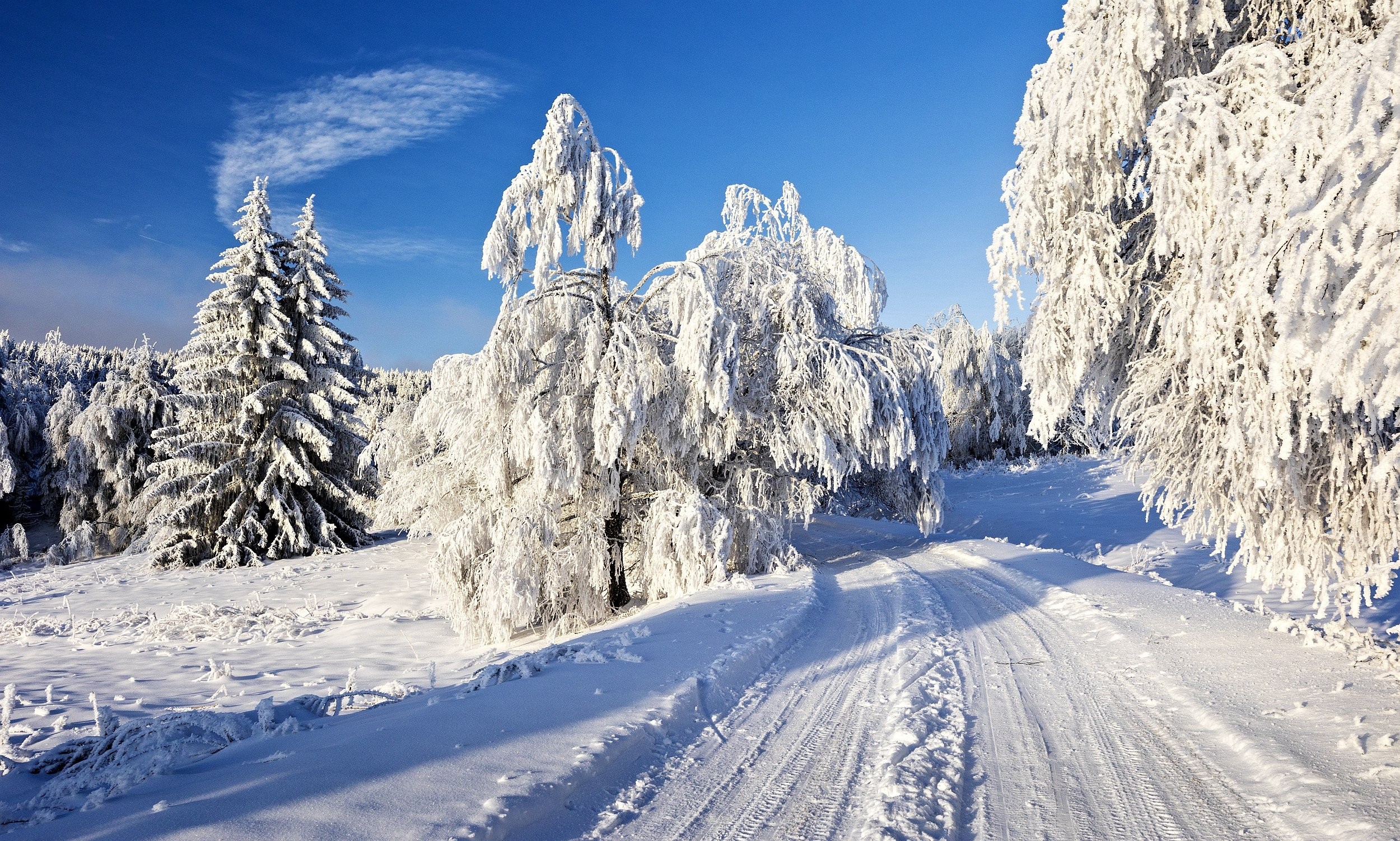 Silná námraza na Šumavě