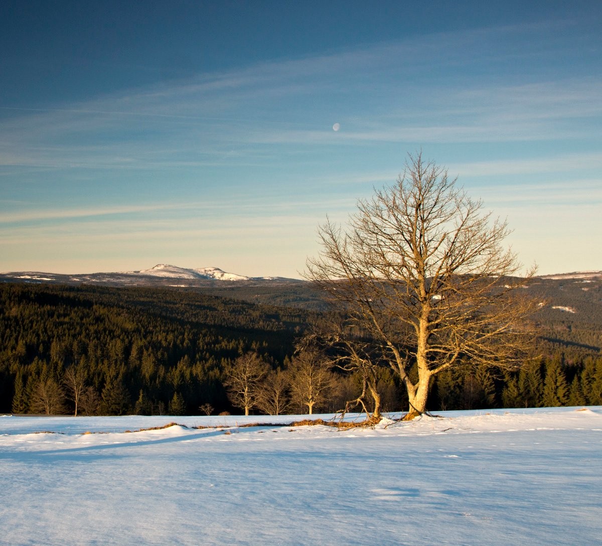 Konec zimy na Šumavě