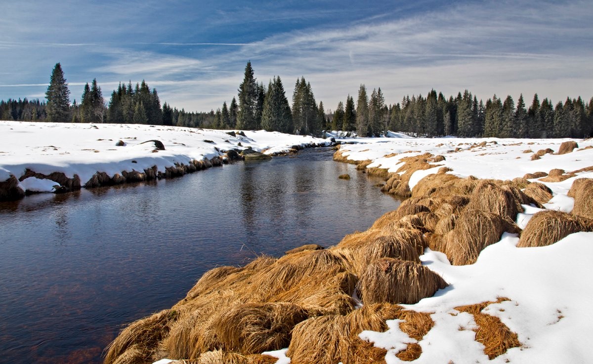 Šumava - konec zimy