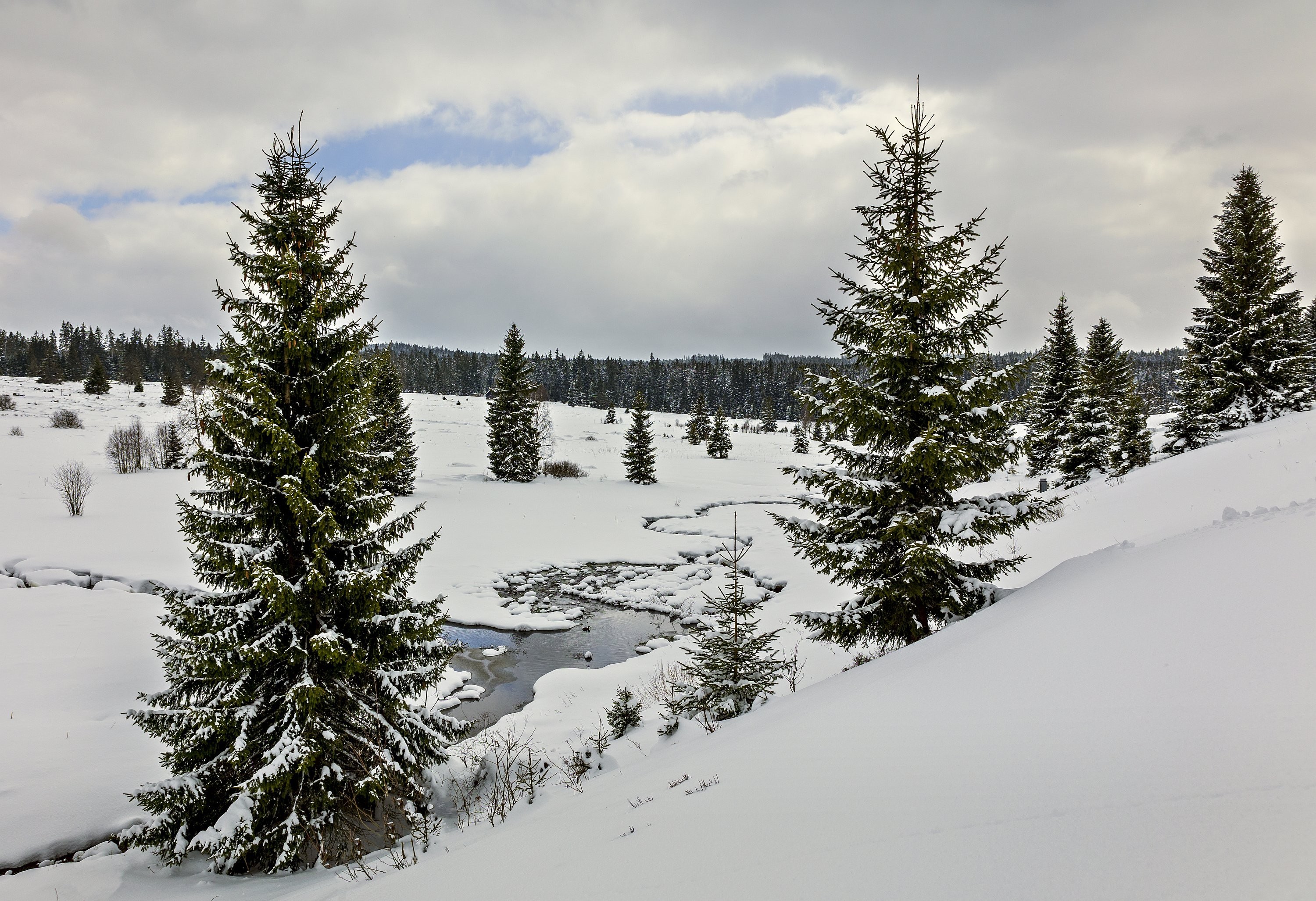 Filipova Huť v dubnu