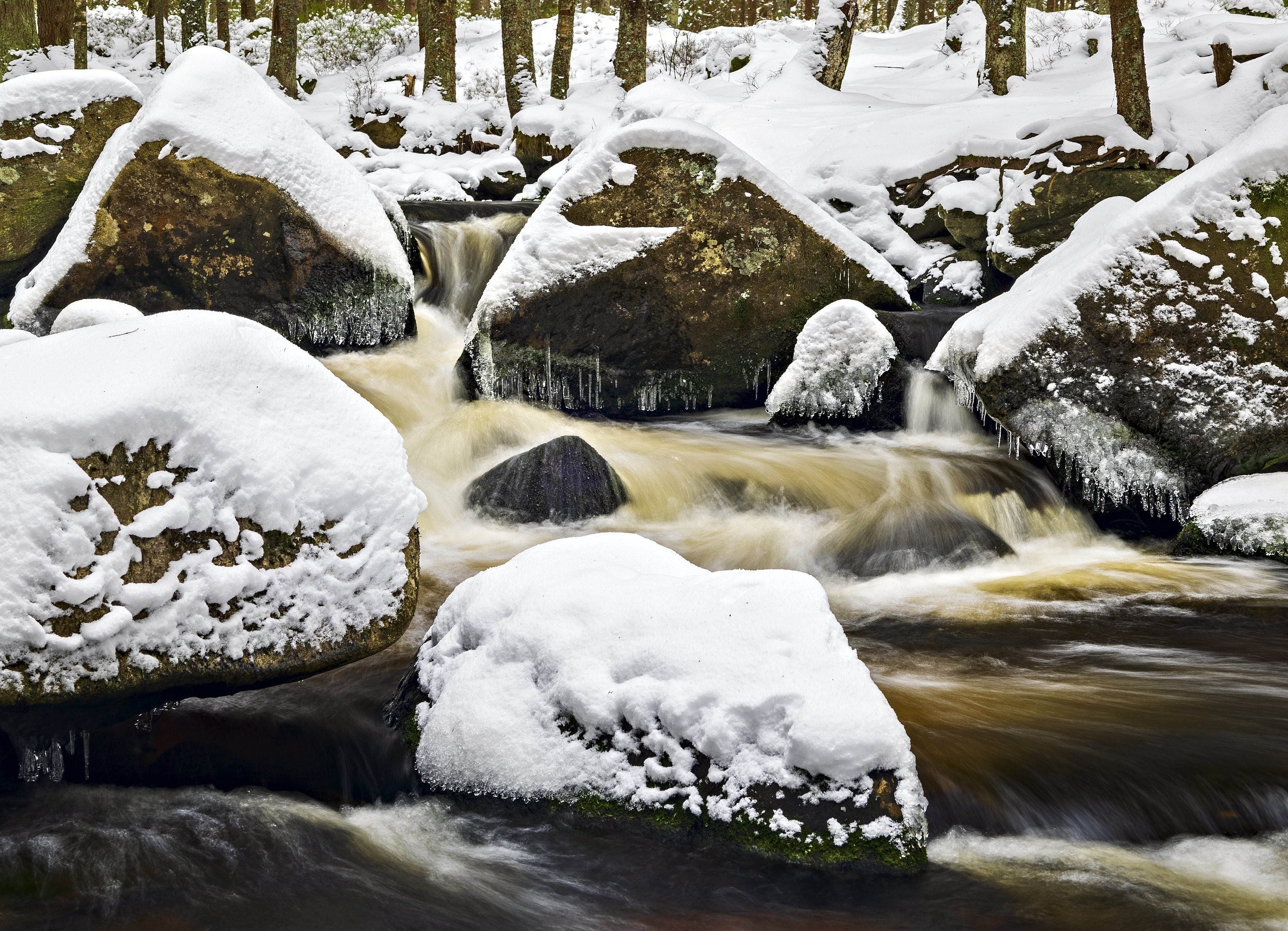 Hamerský potok na Šumavě