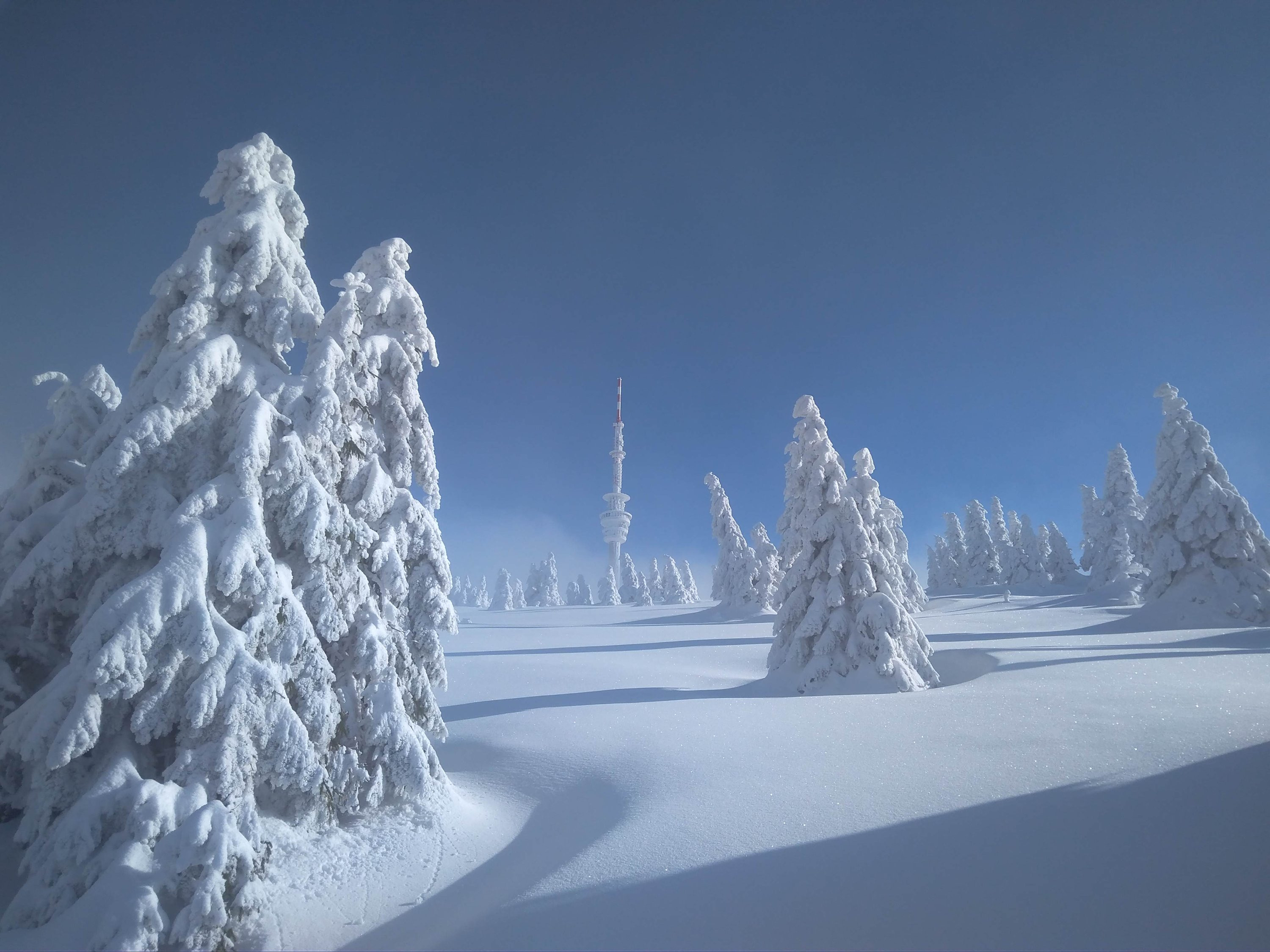 Horní hranice nízké oblačnosti