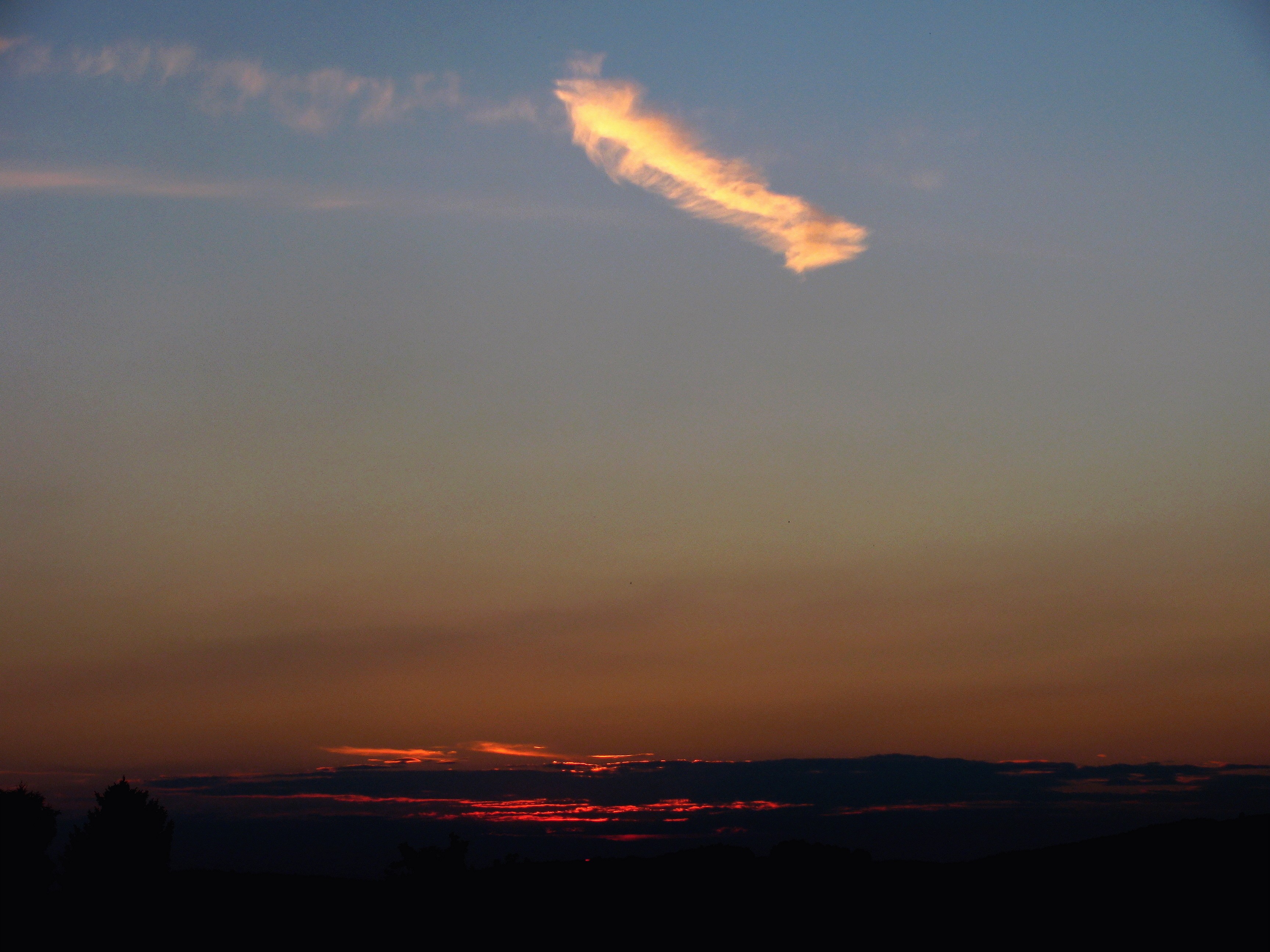 Cirrus fibratus vertebratus