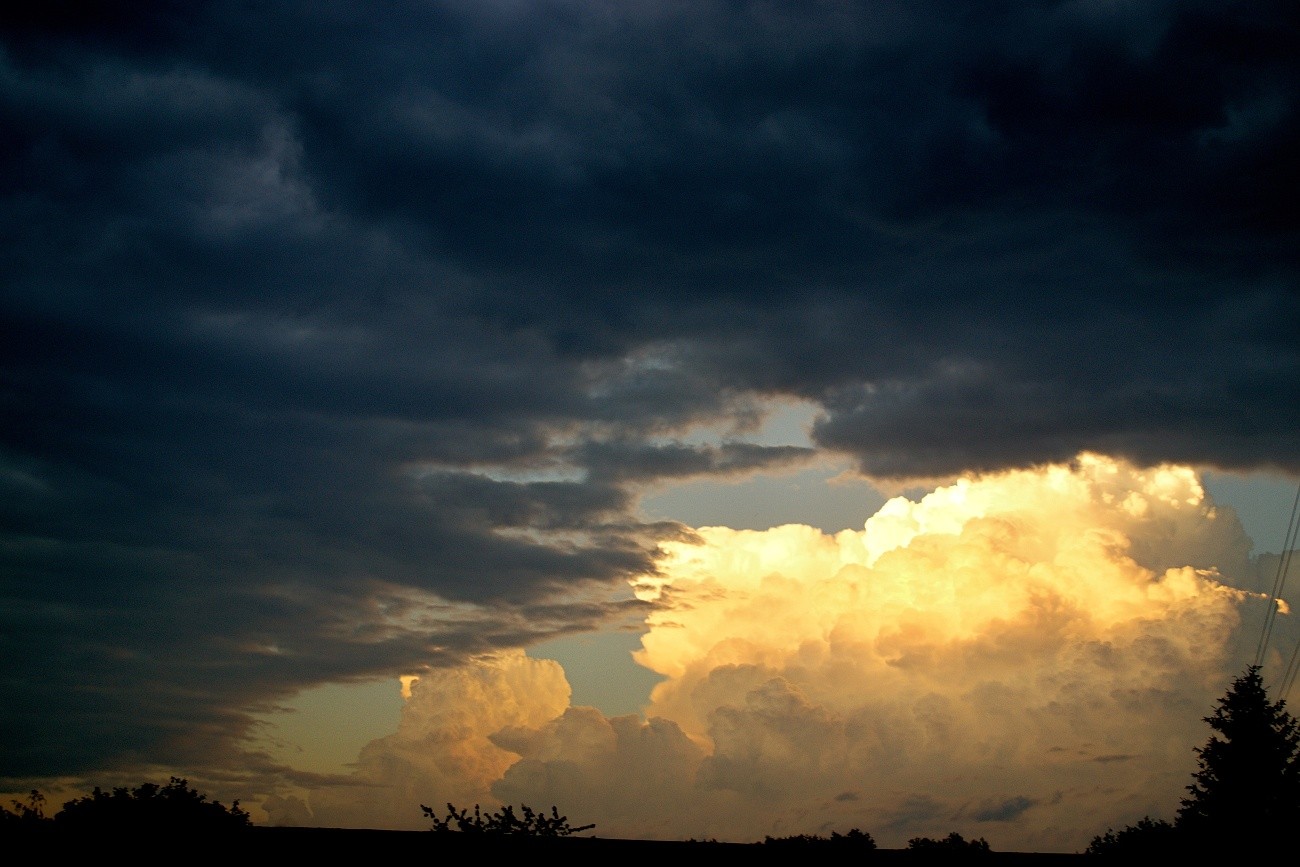 Cumulus congestus