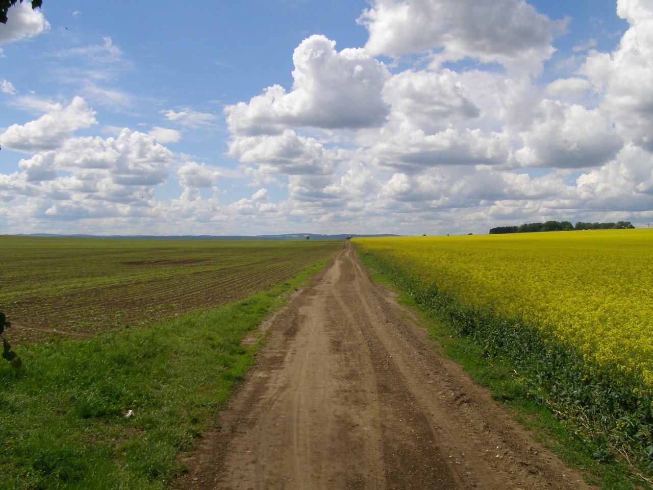 Jarní pole za městem