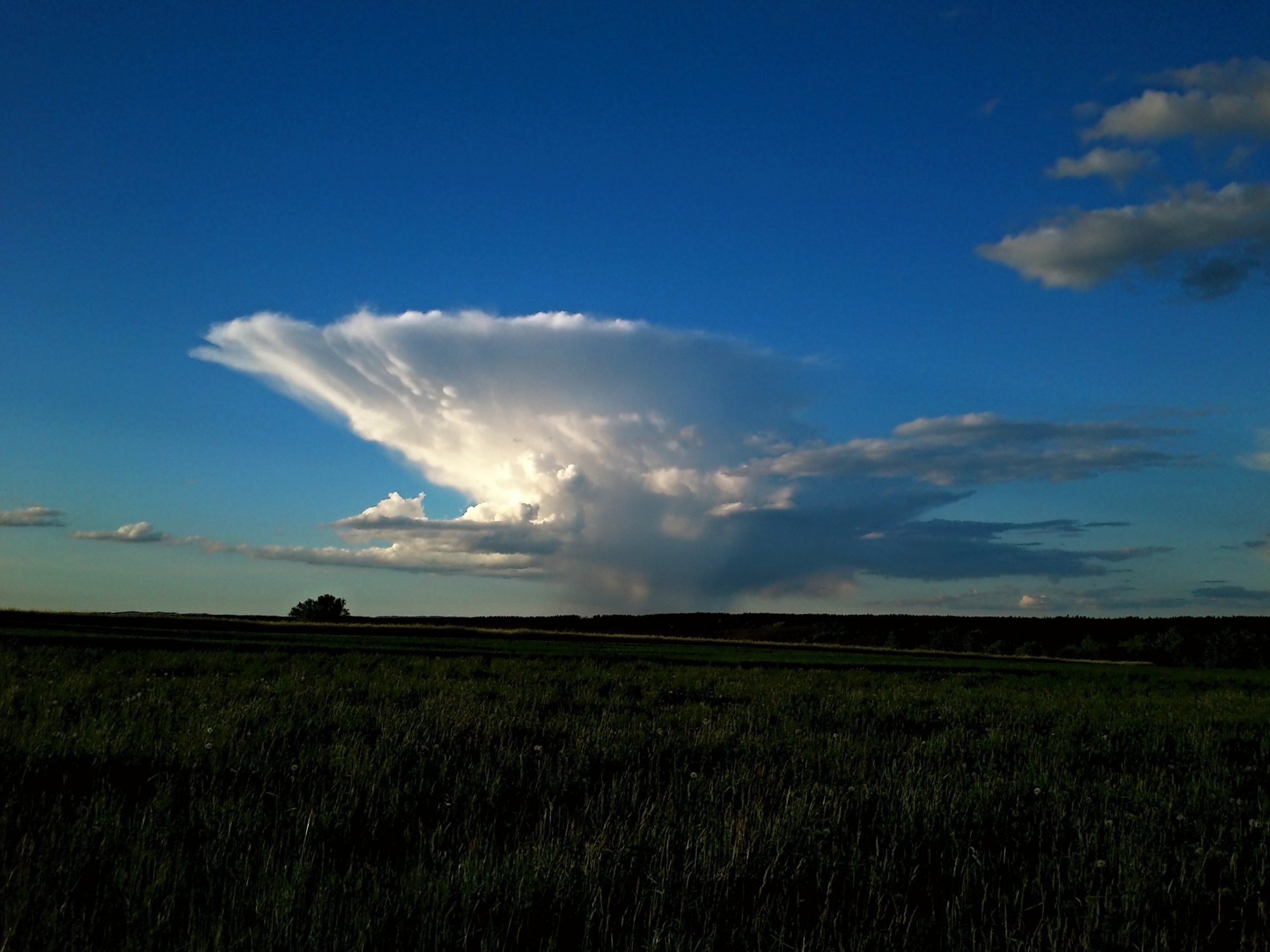 Cumulonimbus nad Bechyní