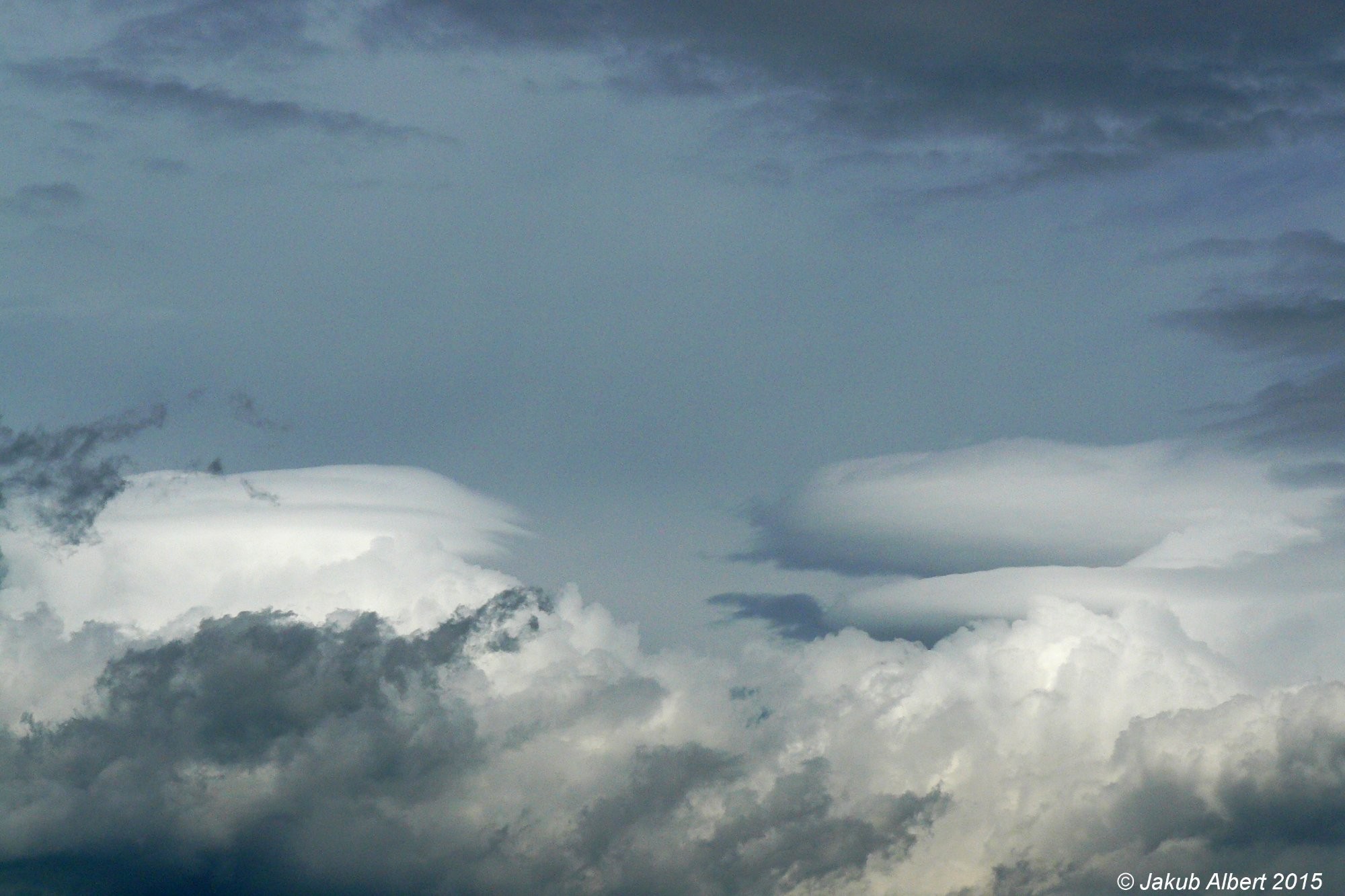 Pileus
