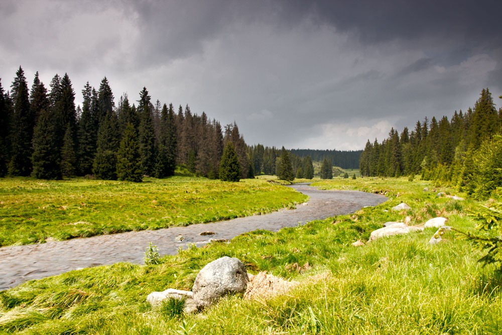 Šumava - Roklanský potok