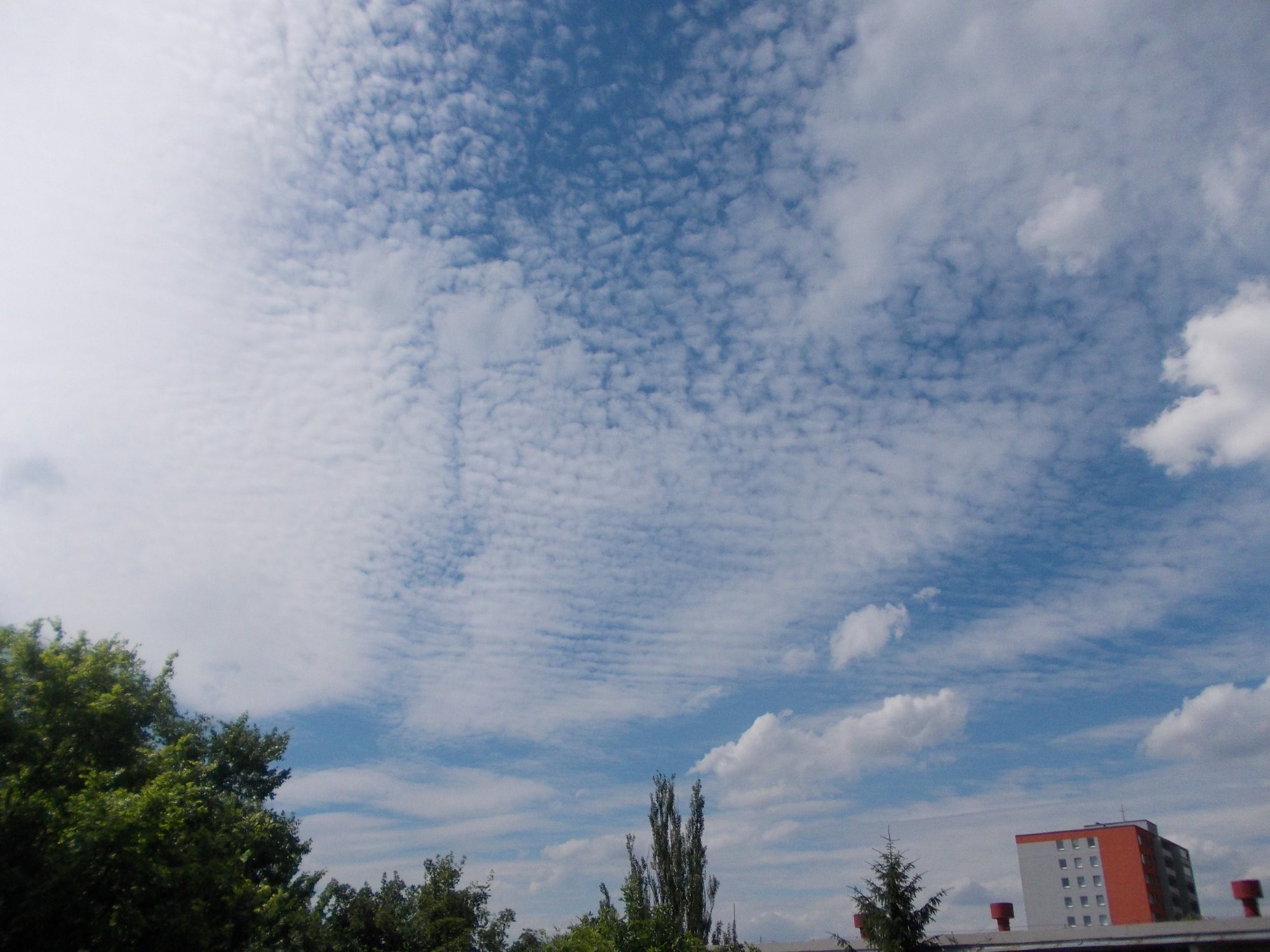 Altocumuly - 13.6.2014 15:47