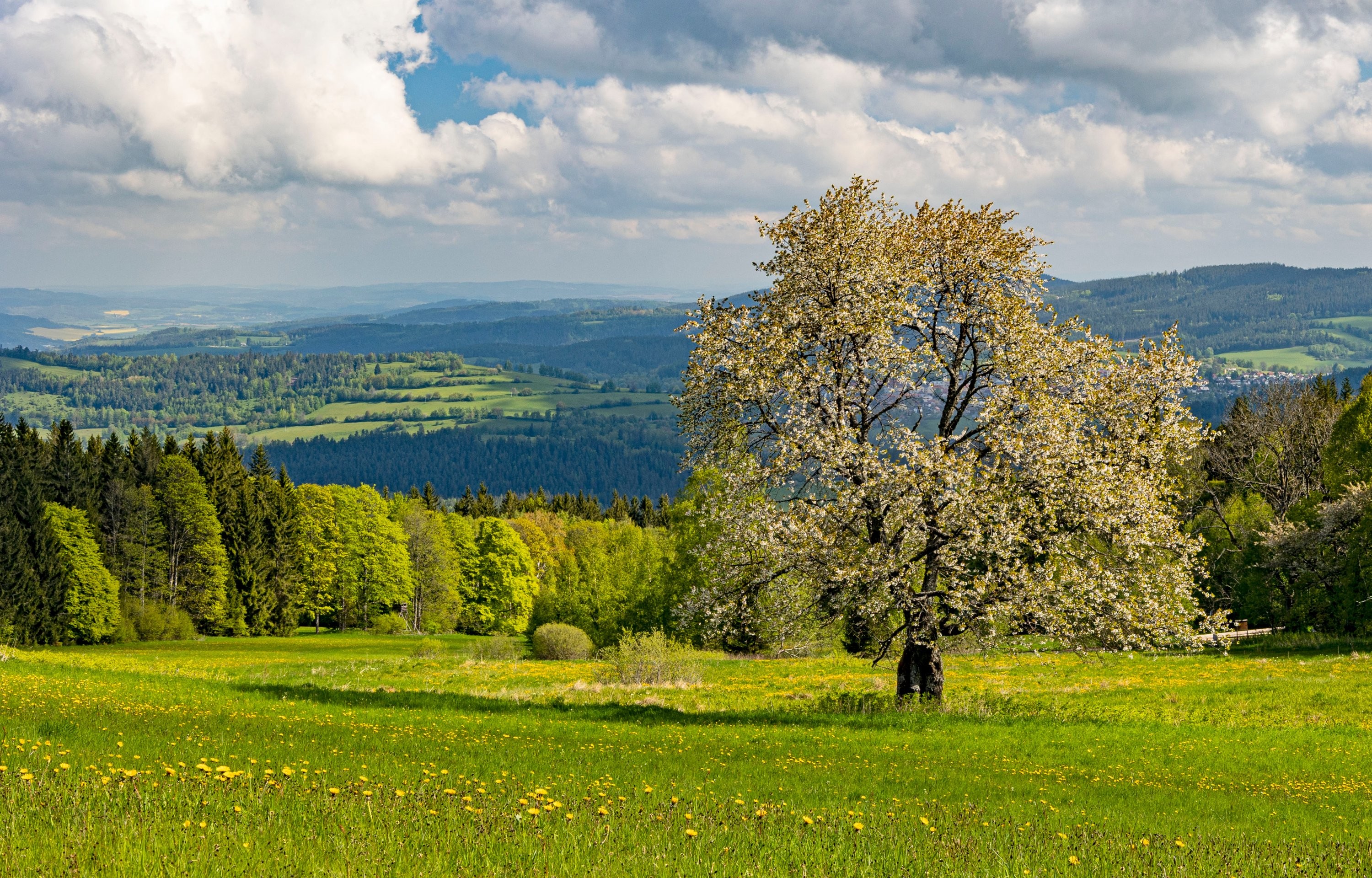 Flusárna na Šumavě