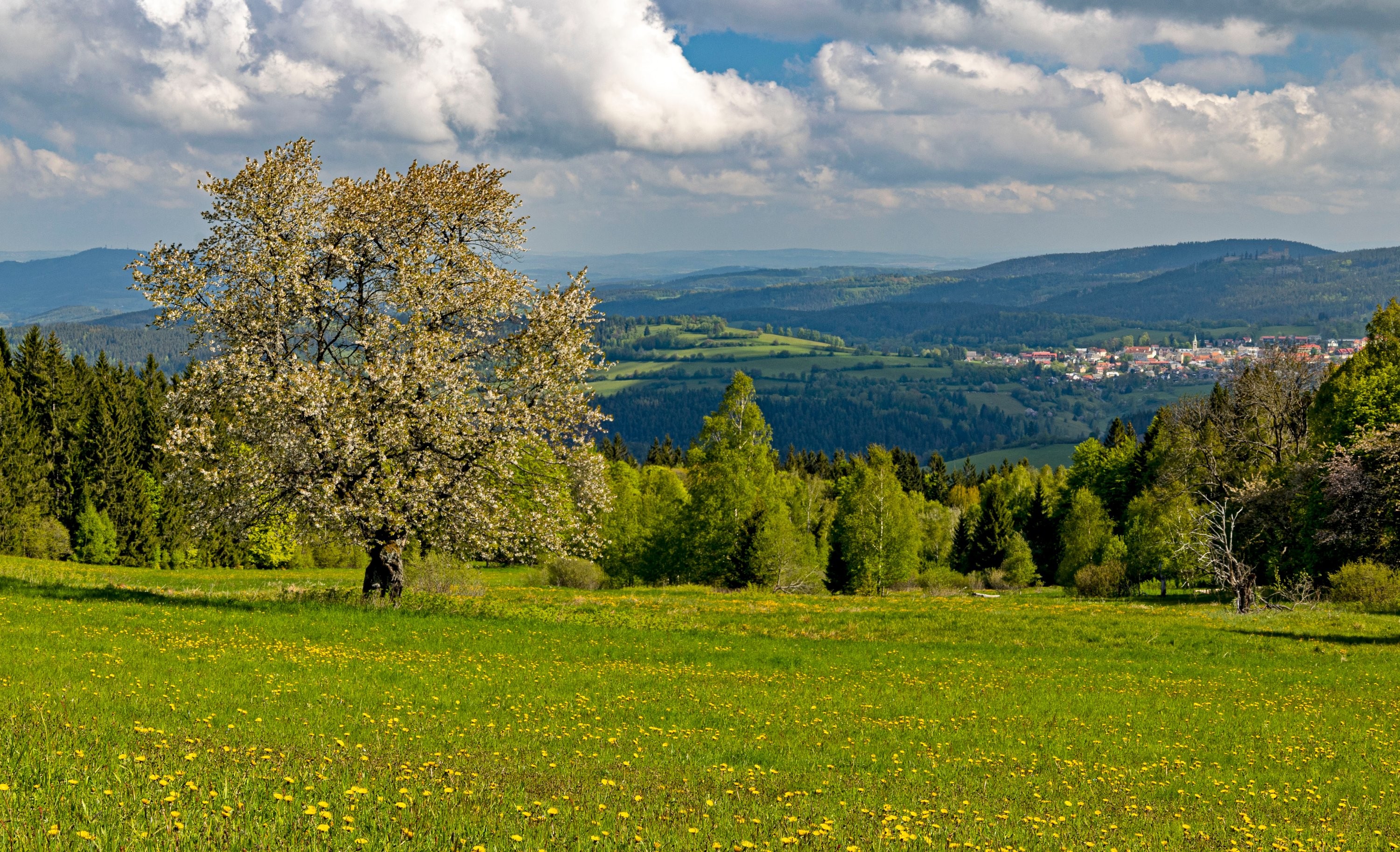 Flusárna na Šumavě