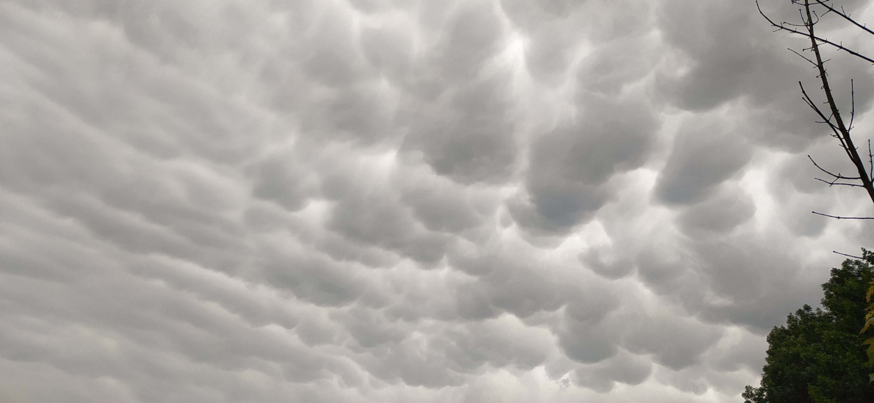 Březová nad Svitavou