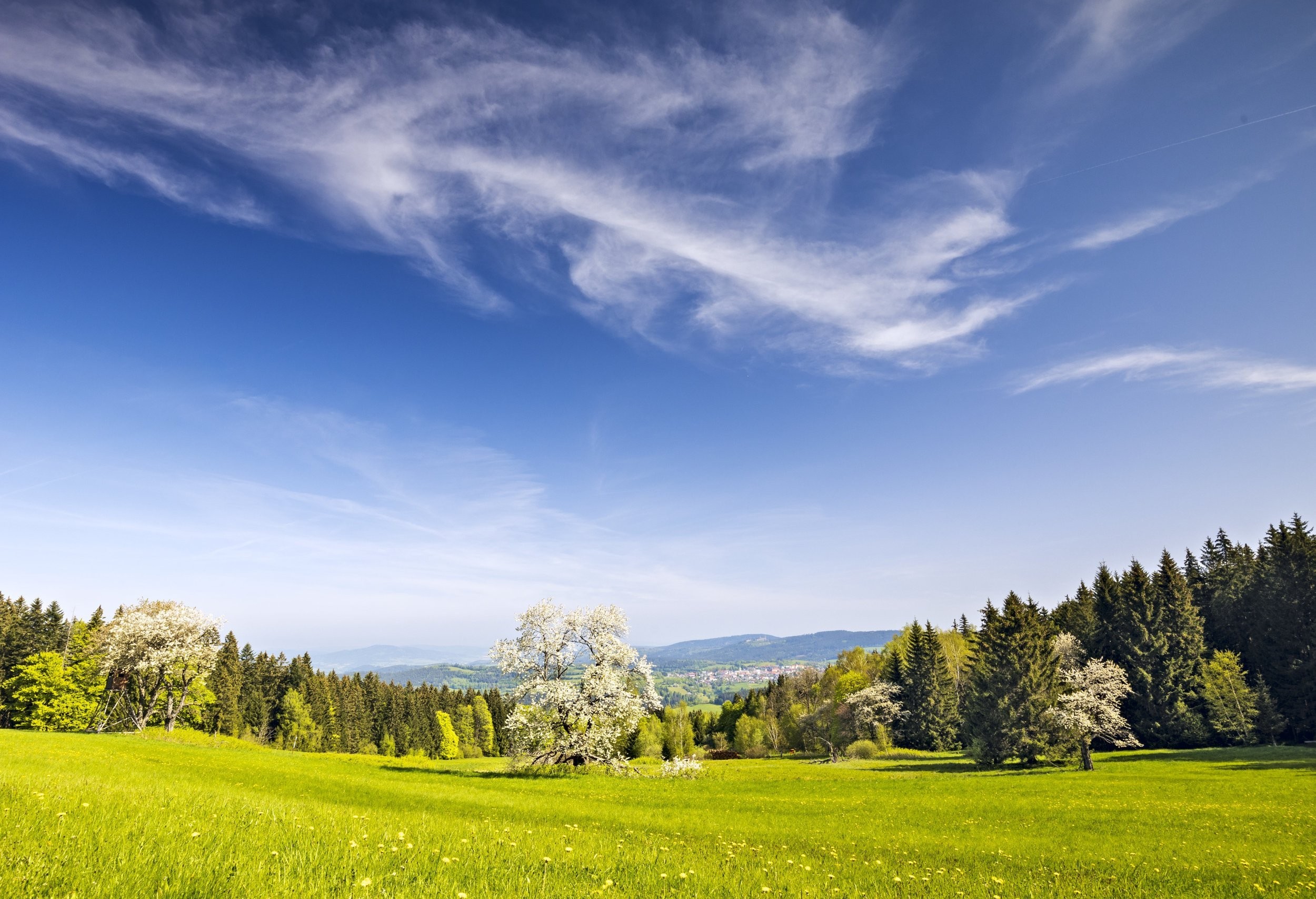 Flusárna na Šumavě
