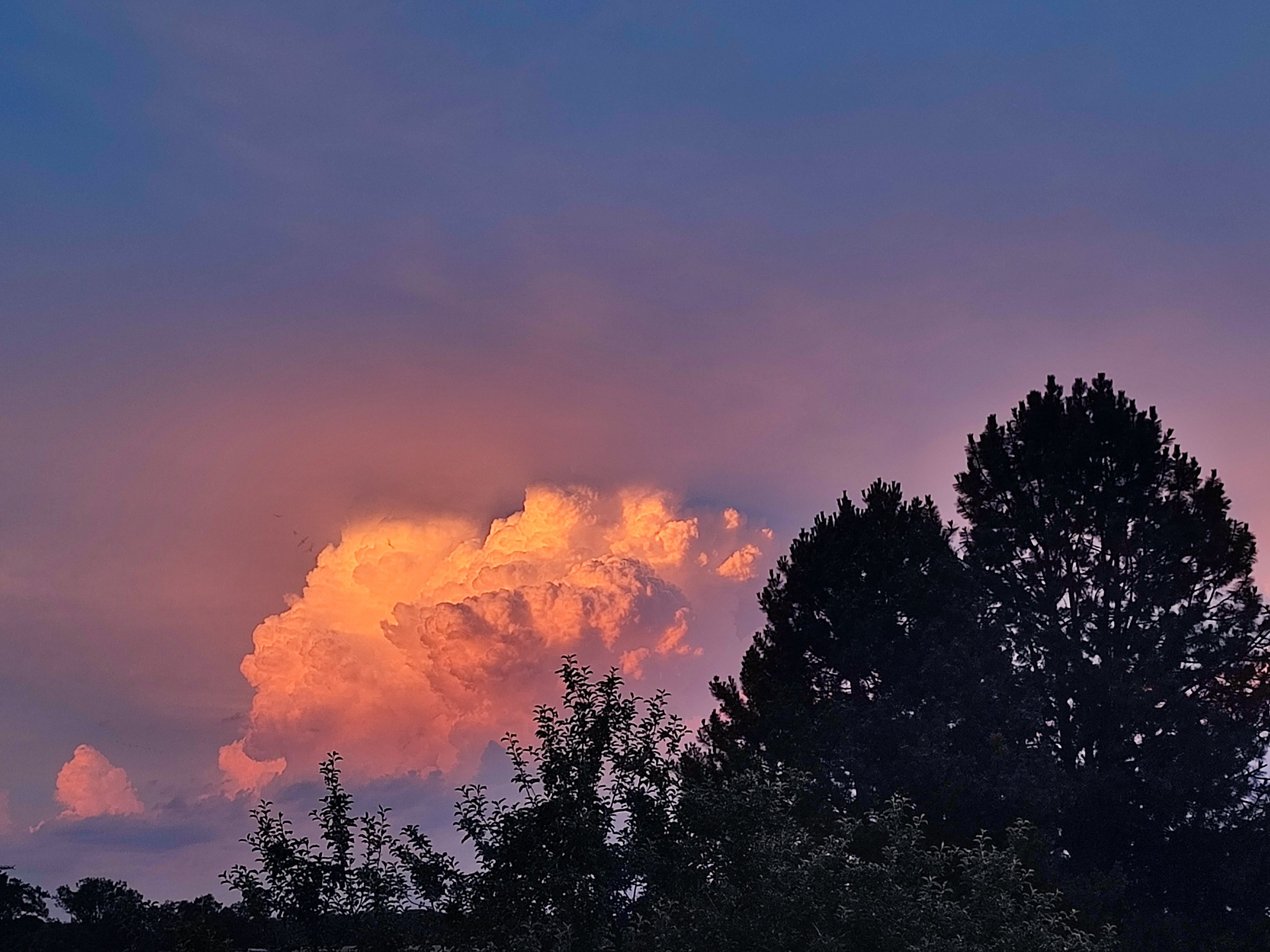 Cumulonimbus nad Orlickými horami