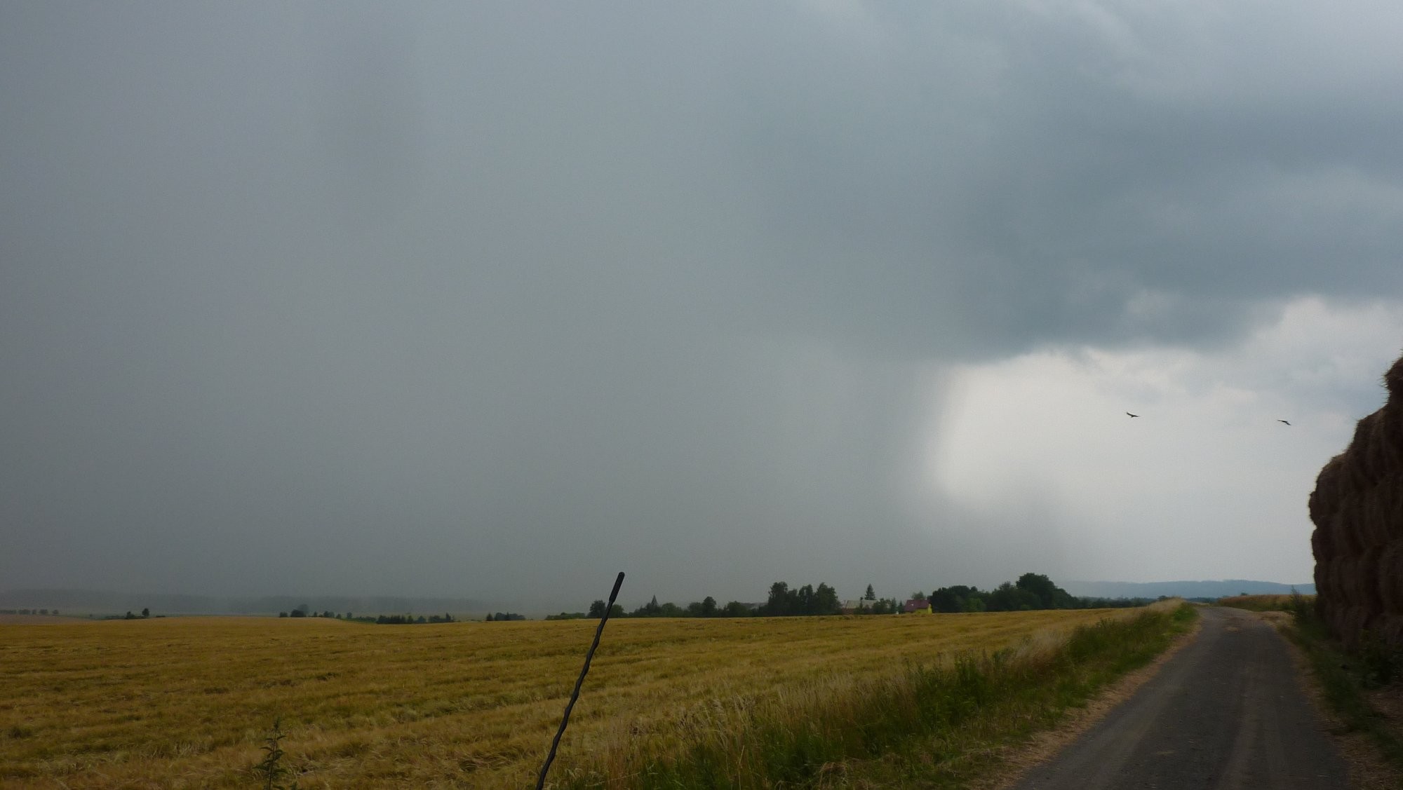 Intenzivní srážky