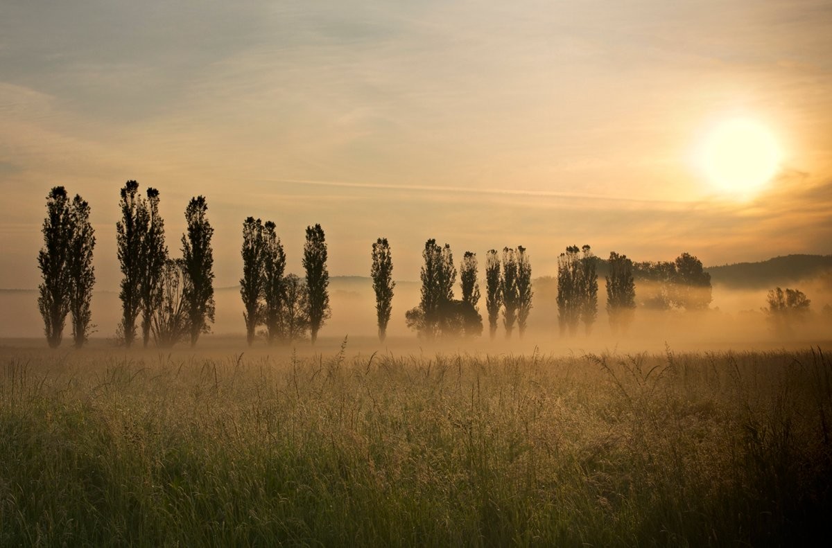 Mlžný závoj zahalil krajinu