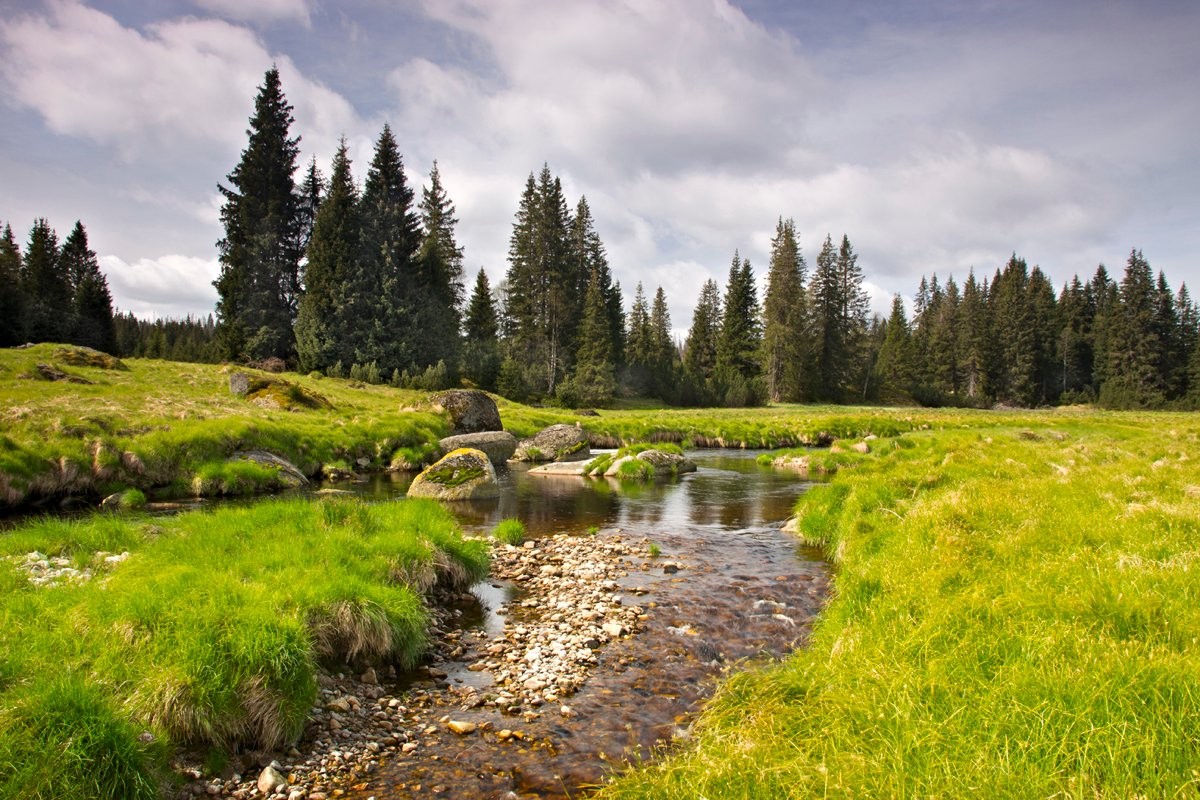 Roklanský potok u Modravy