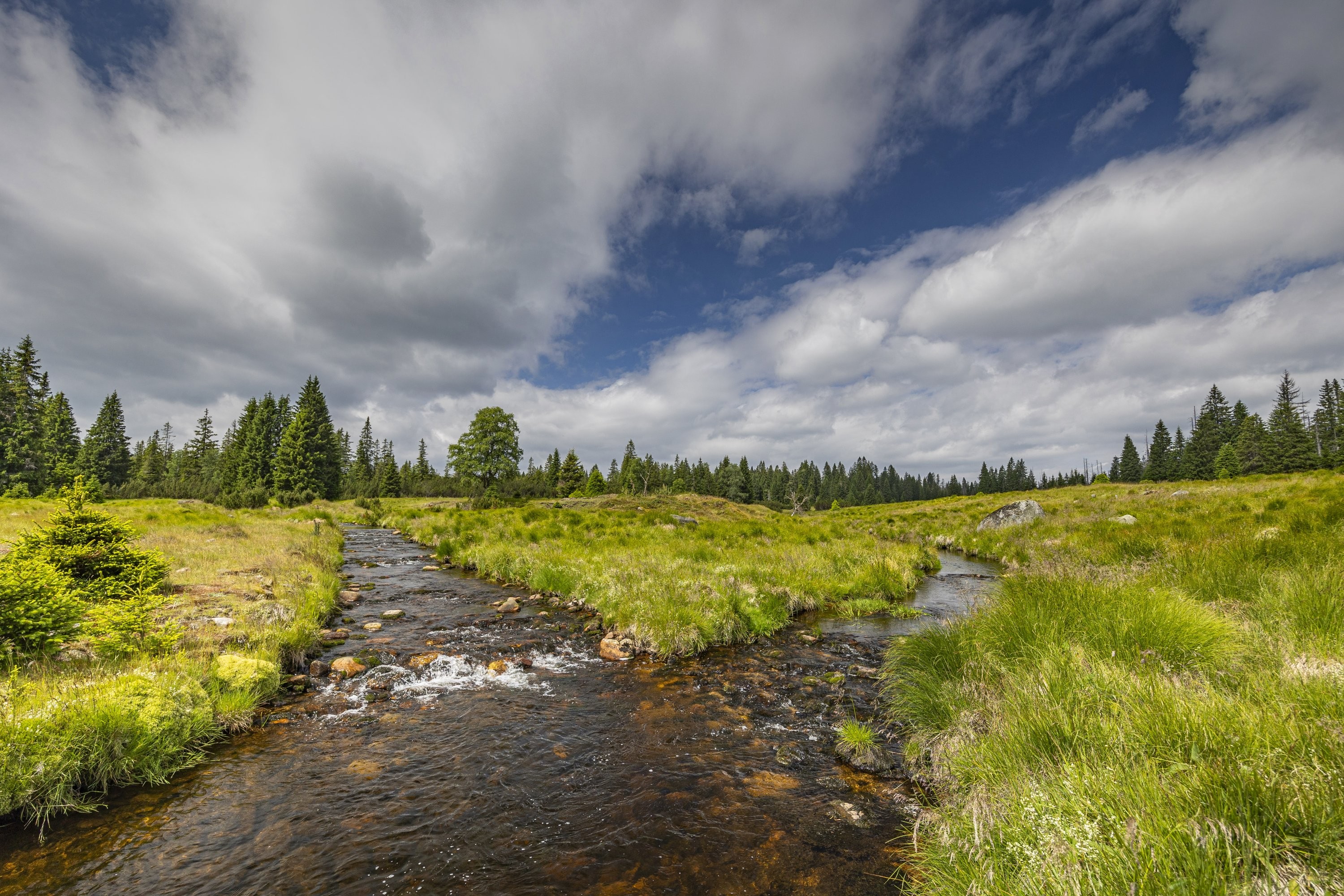 Roklanský potok a Rokytka