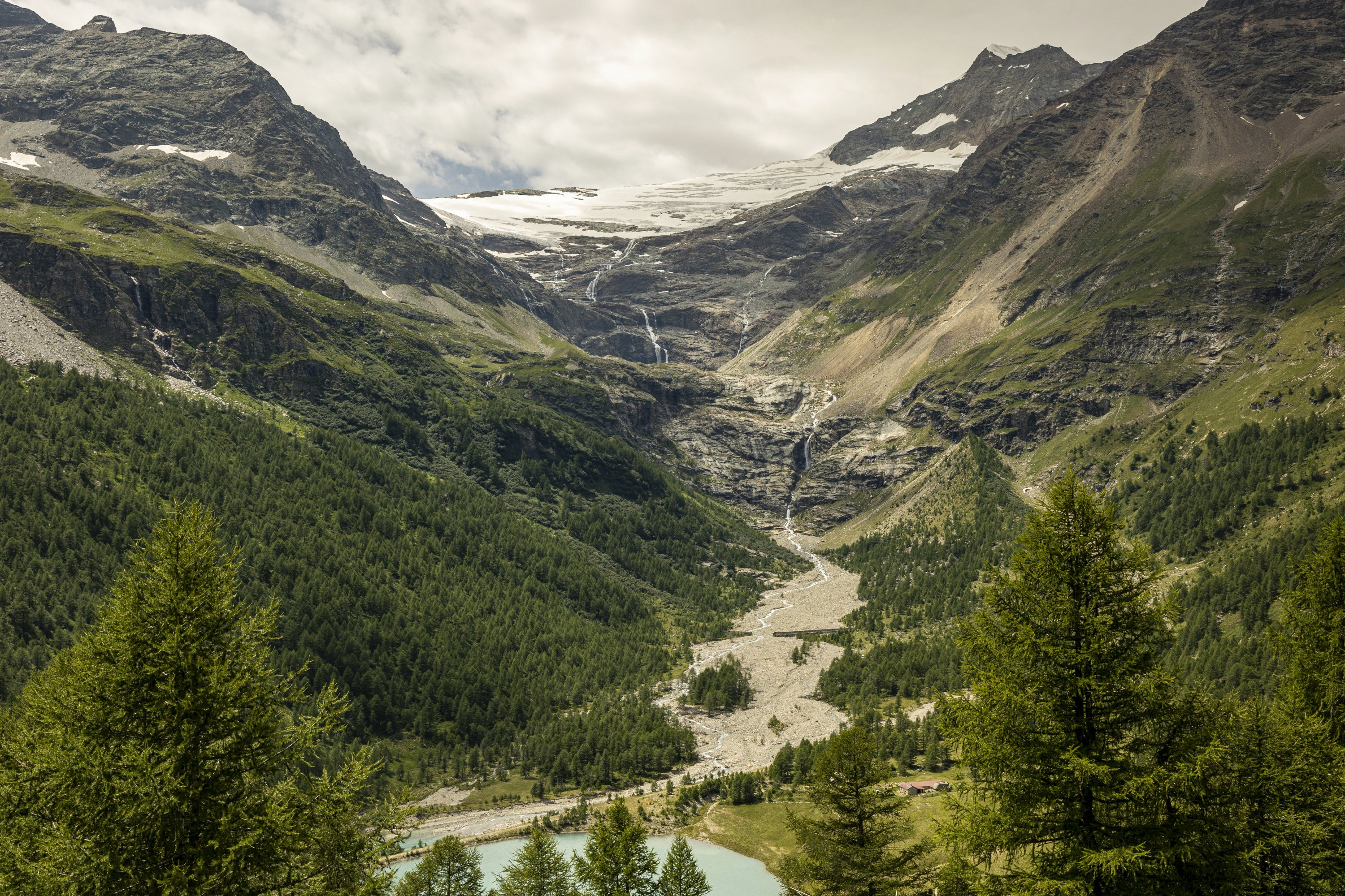 Alp Grüm