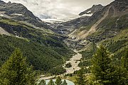 Alp Grüm
