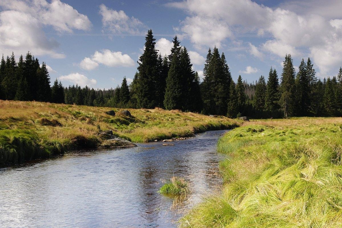 Modrava - Roklanský potok