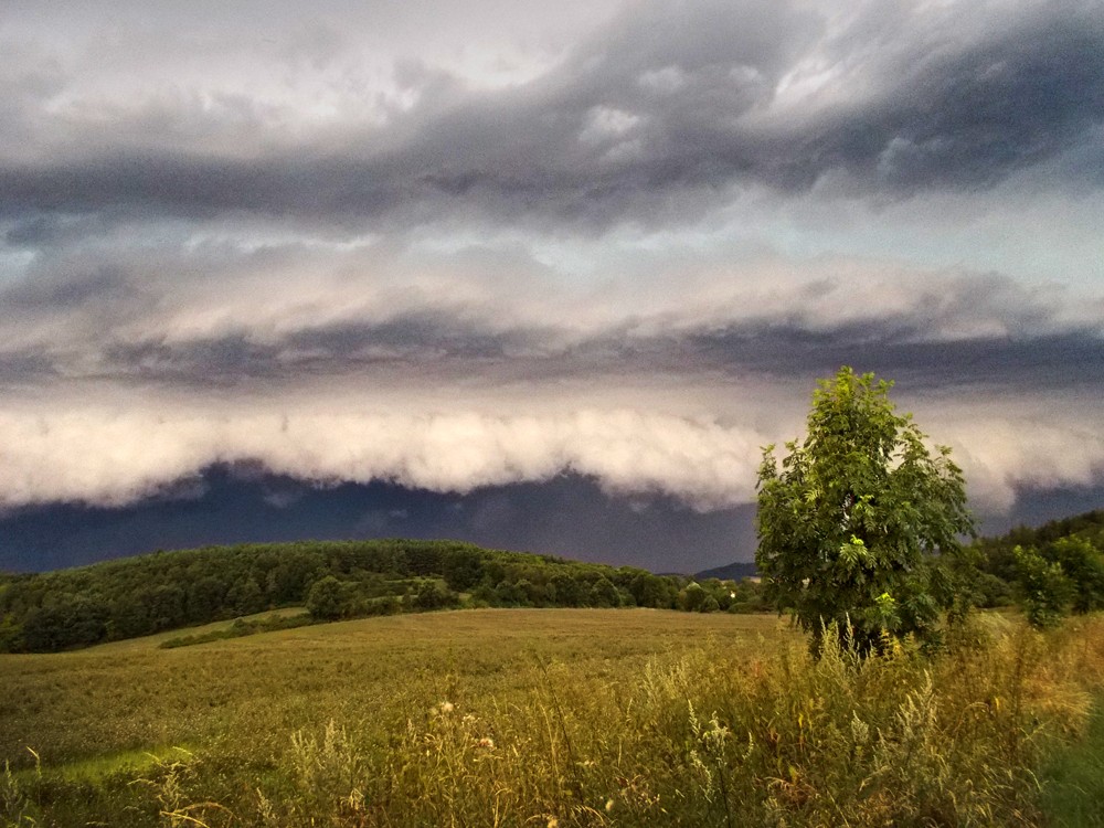 Shelf cloud II.