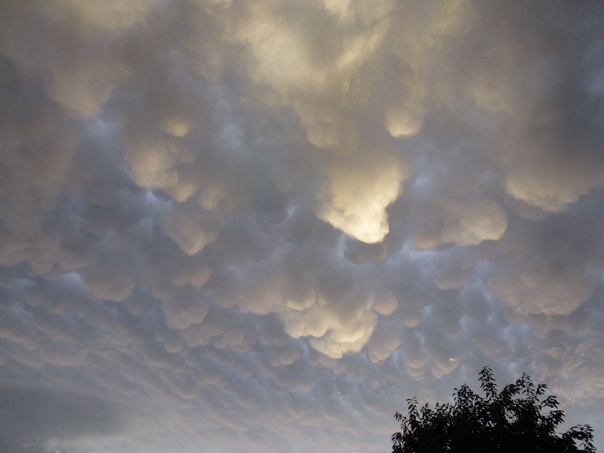 Sestupné proudy - mamma