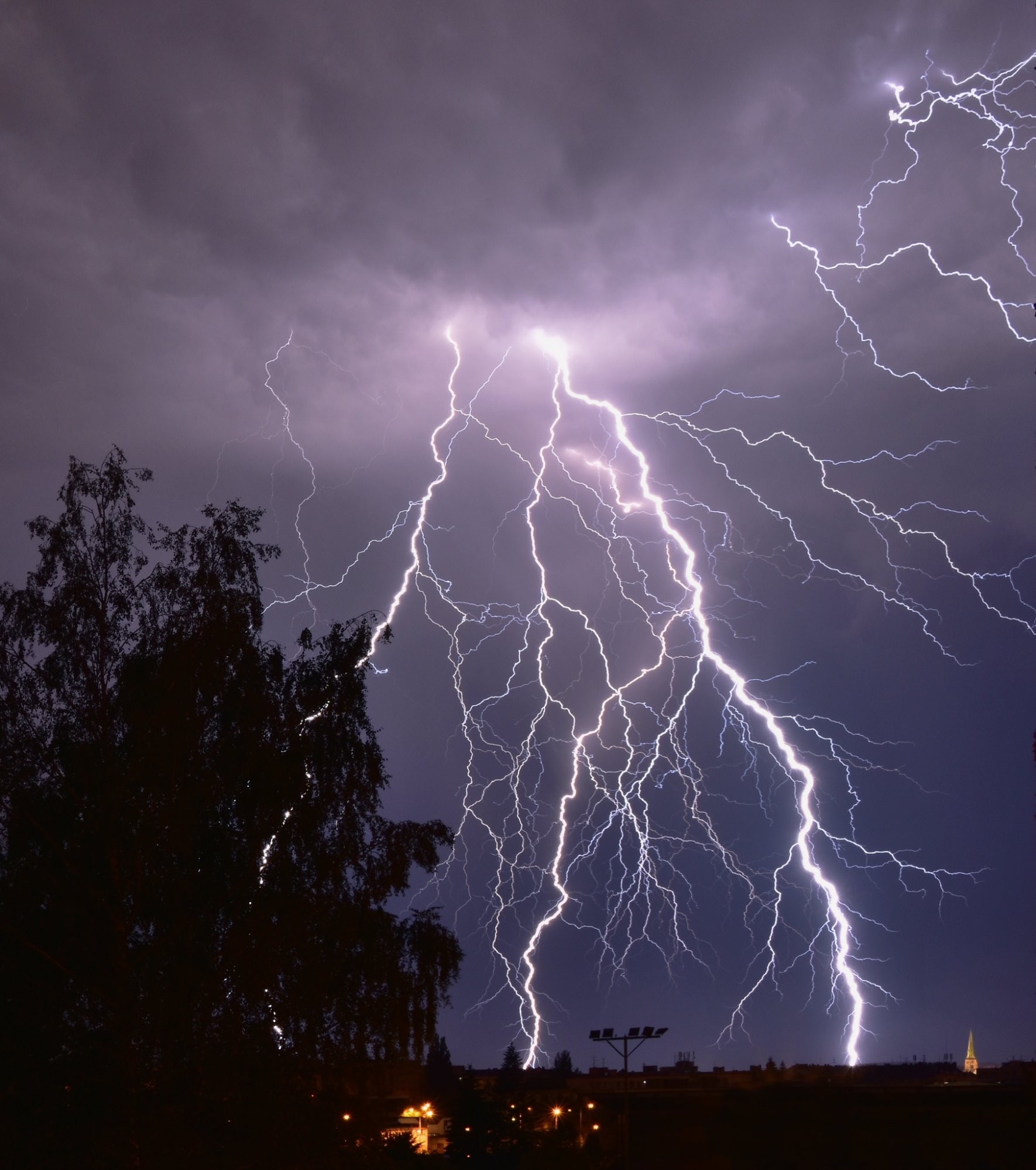 Když oblaka kreslí kořeny