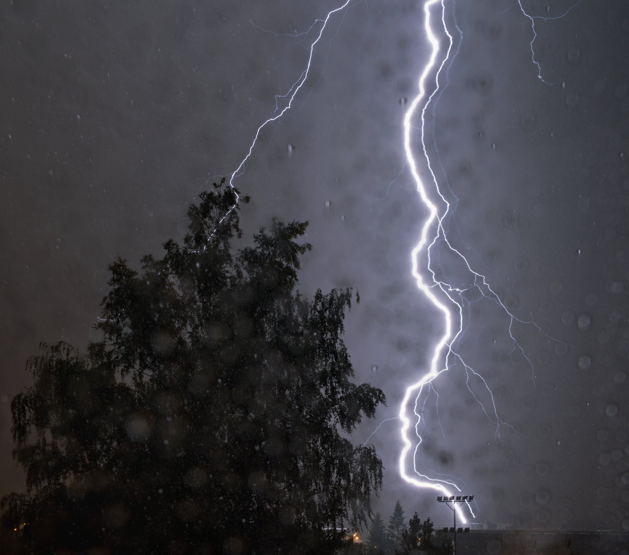 Překvapení za oknem 