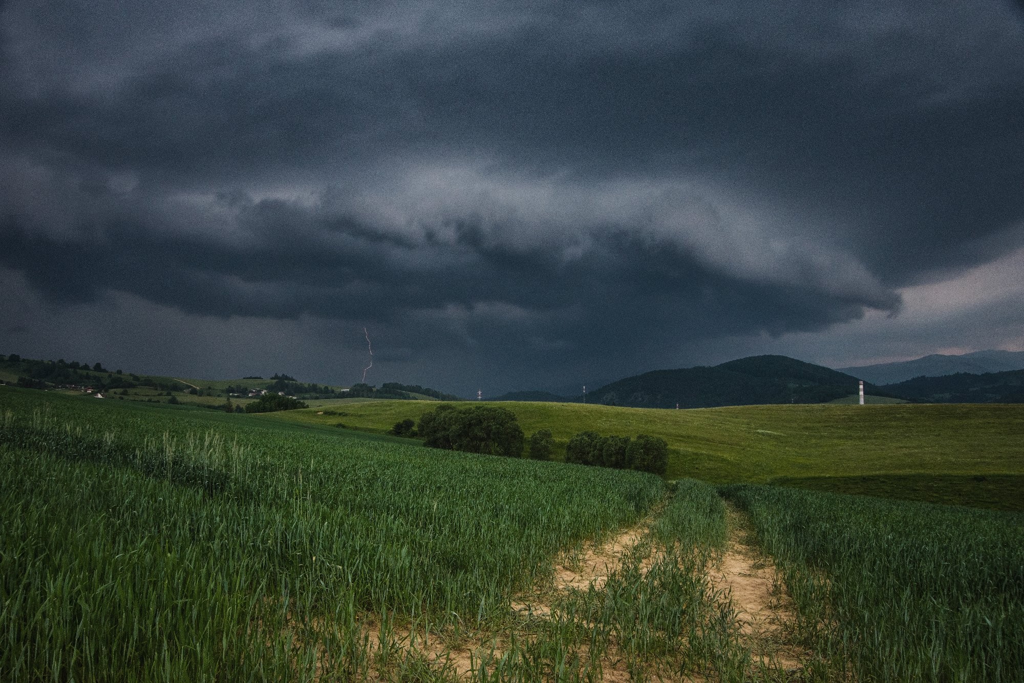 Príchod bŕuky do Brezna