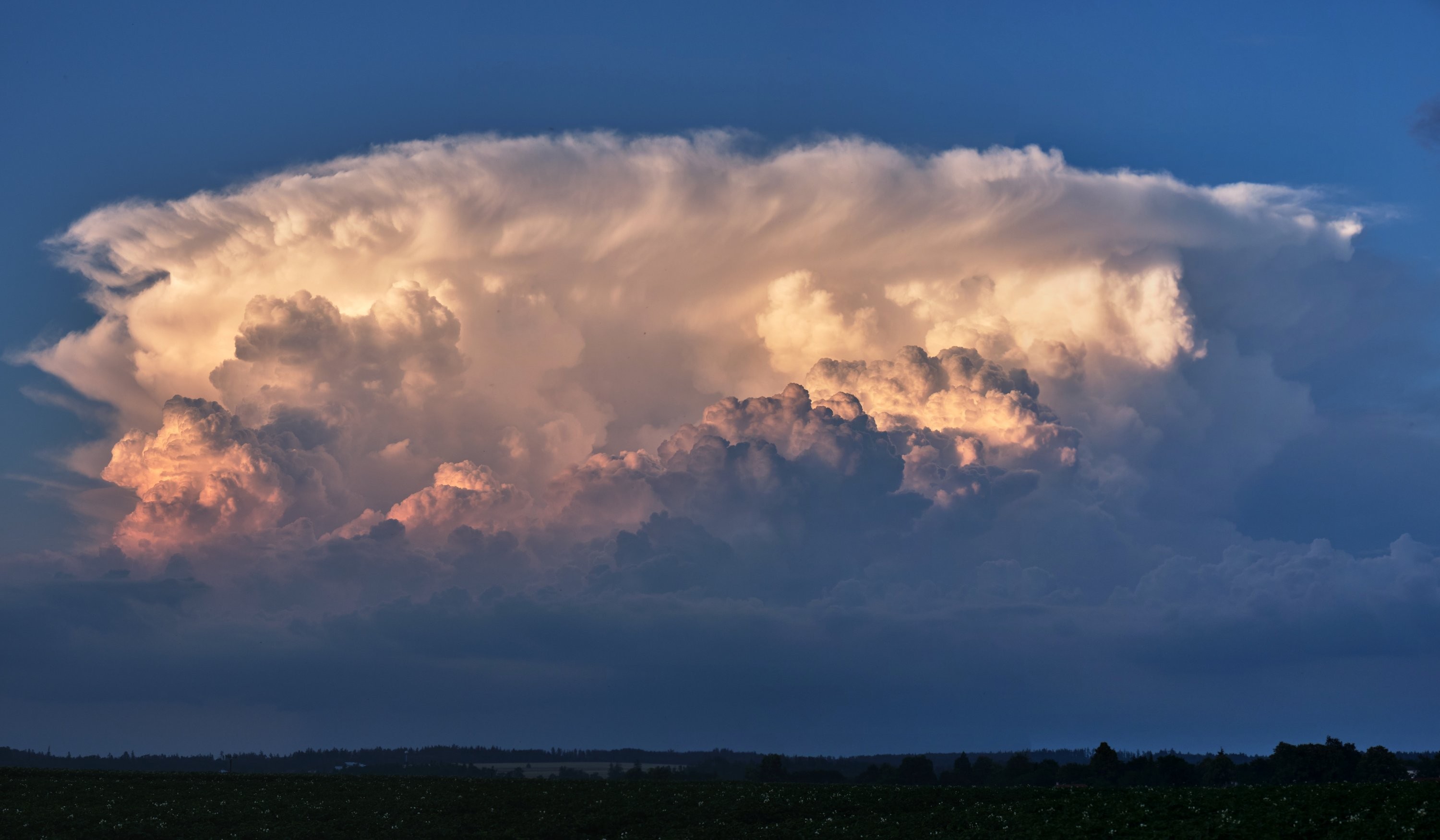 Večerní překvapení
