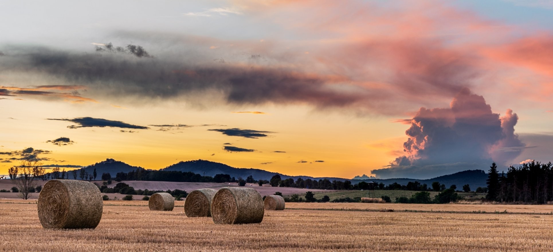 Letní pozápadové panorama Cřibů