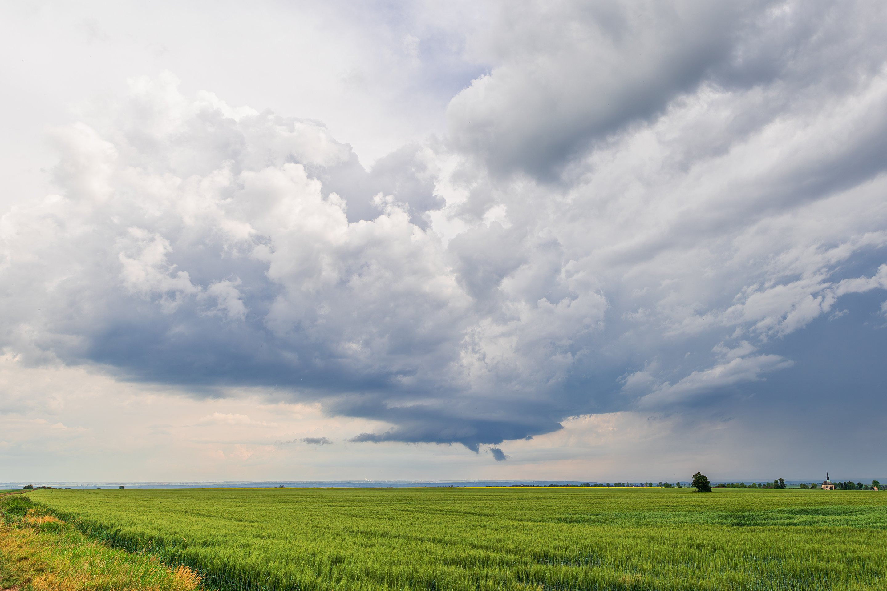 LP (Low Precipitation) supercela