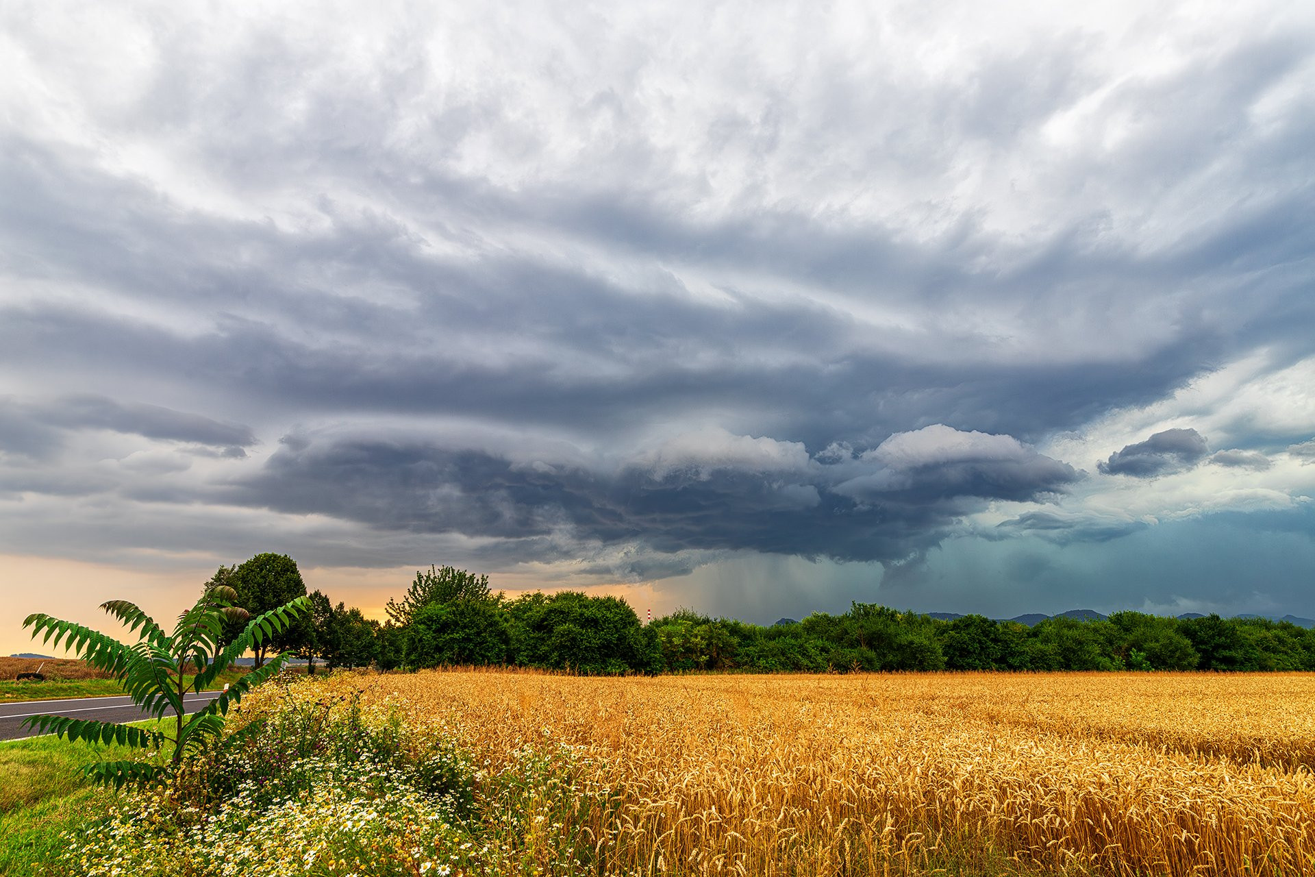 Wall cloud nad obilím