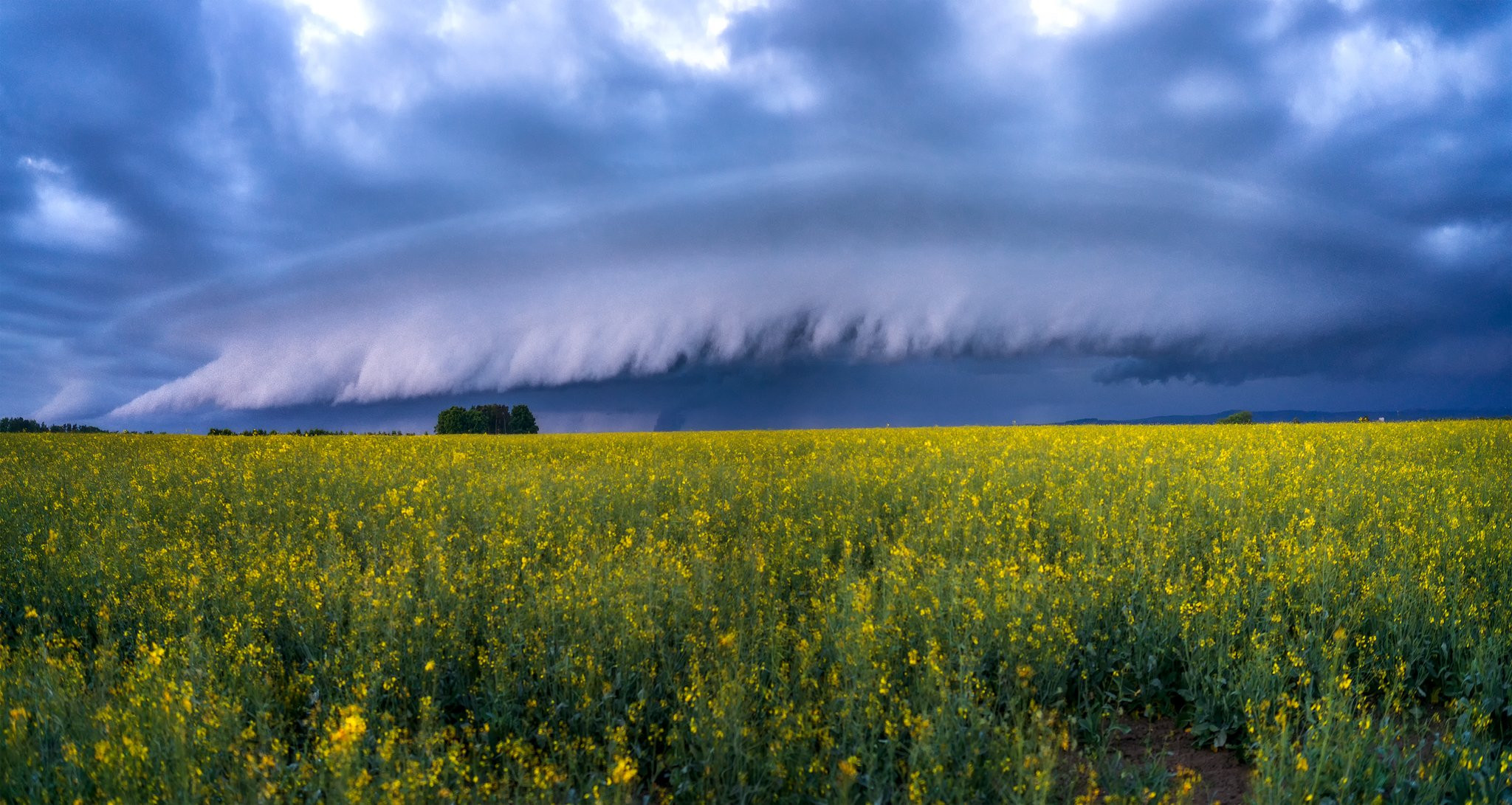 Shelf cloud 