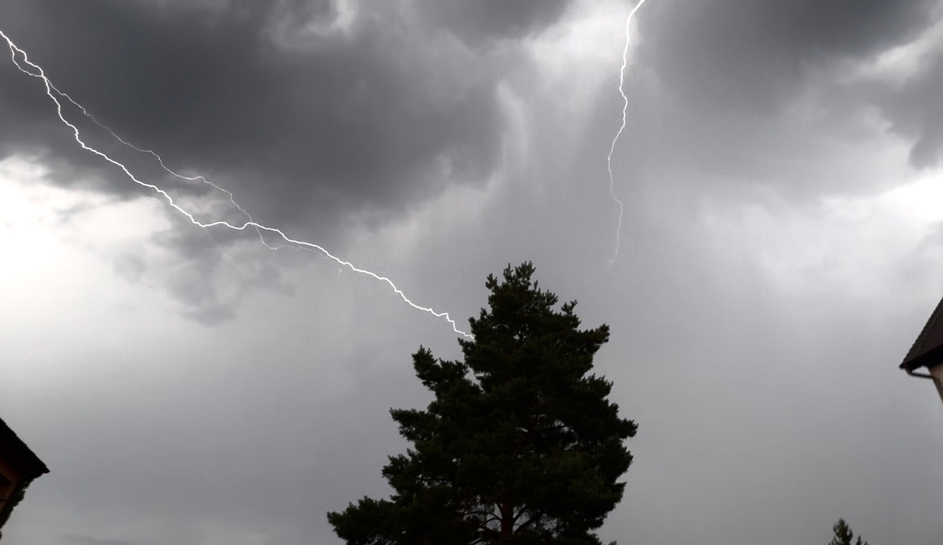 Úder blesku do stromu