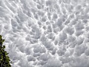 Oblaky mammatus