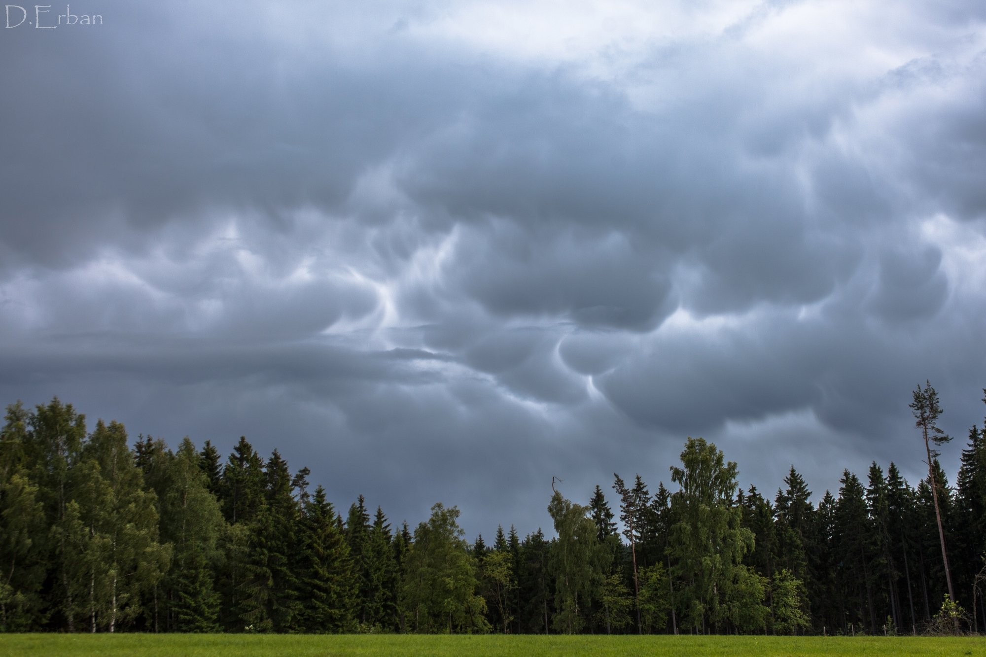 Mammatus