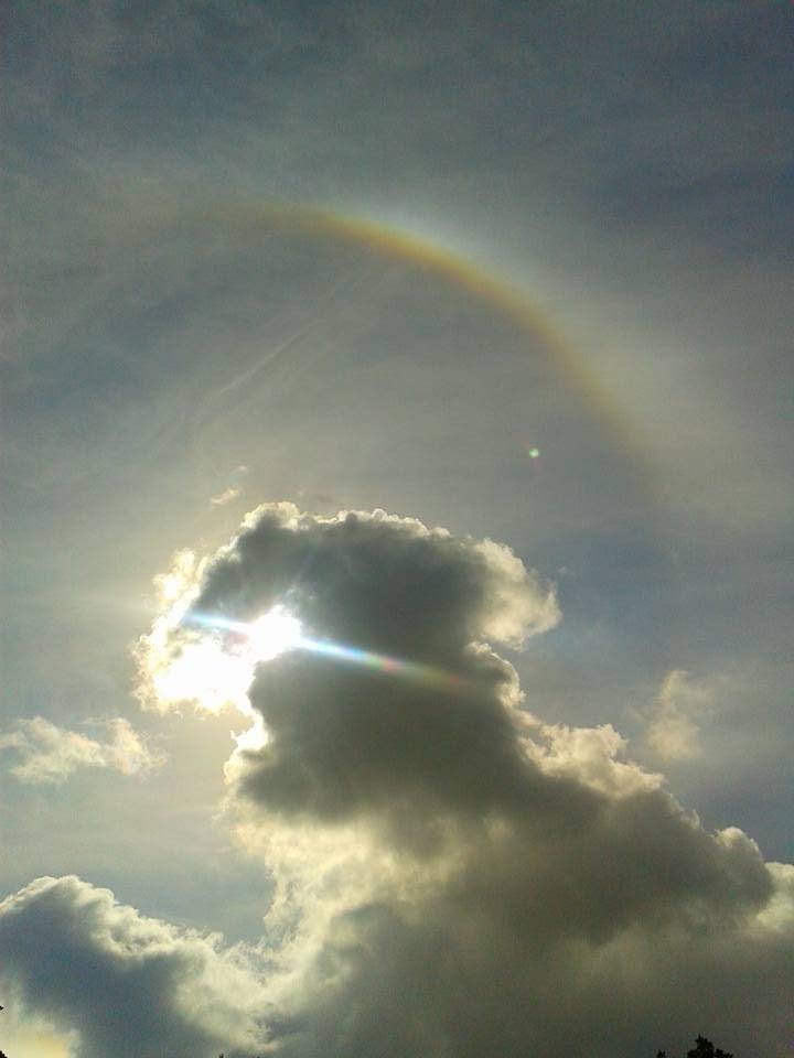 Sluníčko v Rychnově 