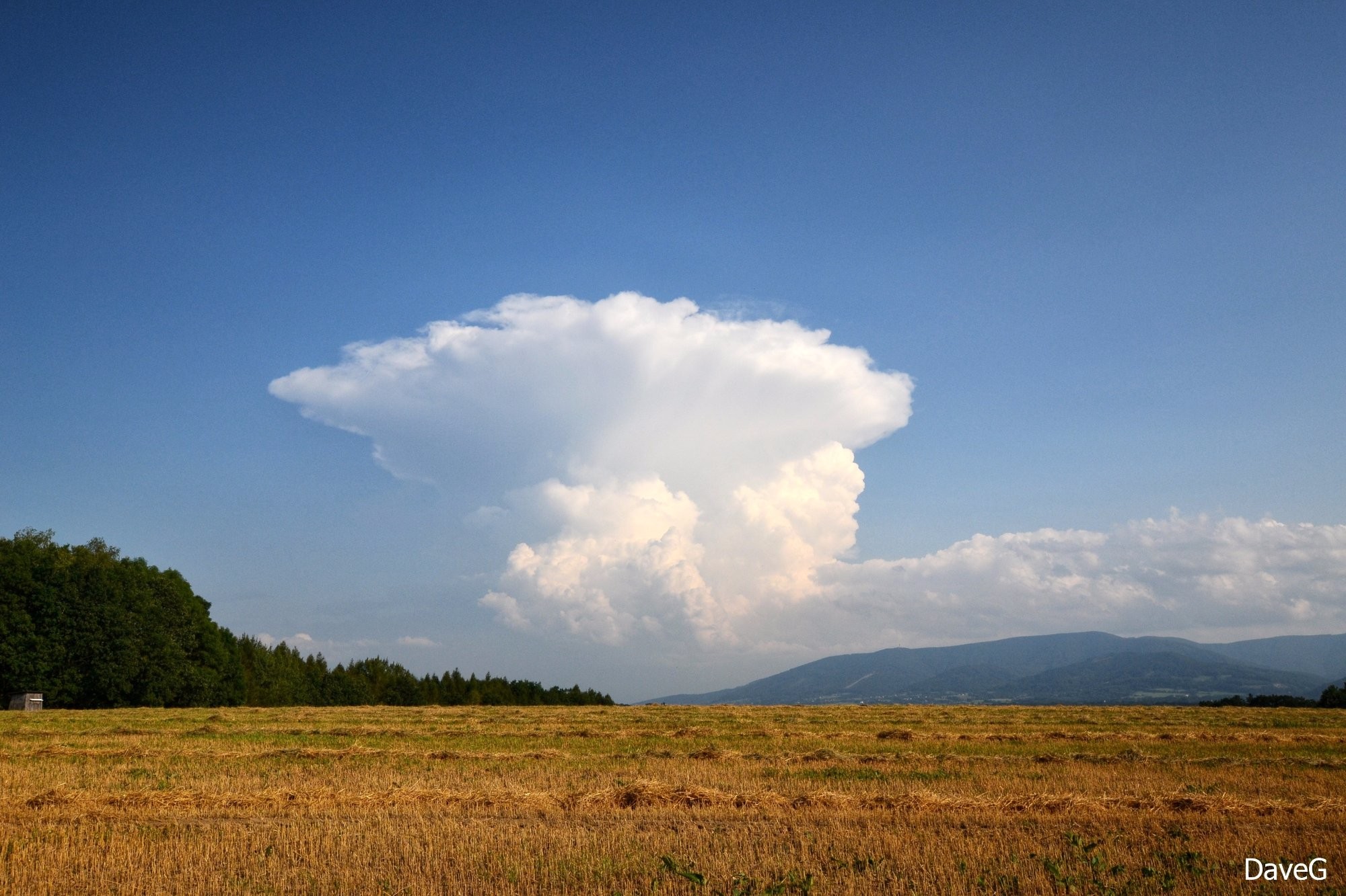 Cumulonimbus capillatus