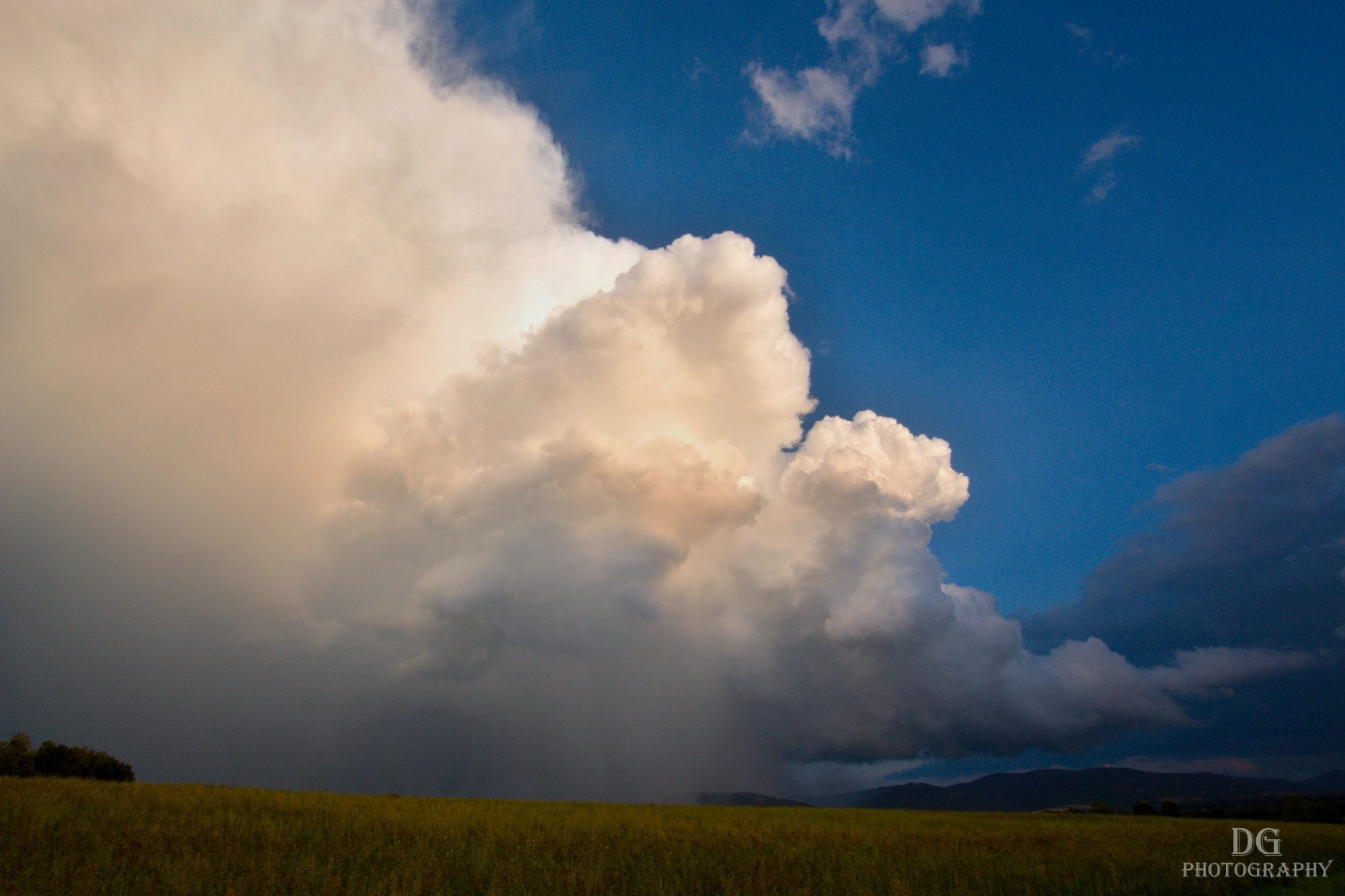 Cumulonimbus capillatus