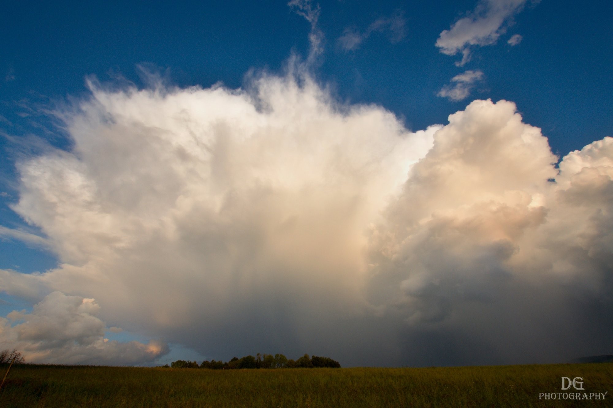 Cumulonimbus capillatus